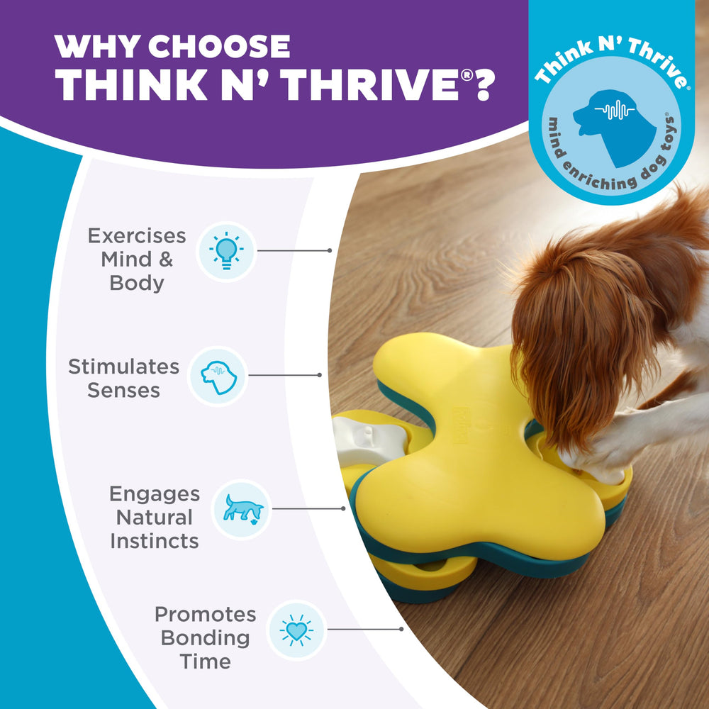 Outward Hound perro usando Dog Tornado, promueve actividad mental y entretenimiento