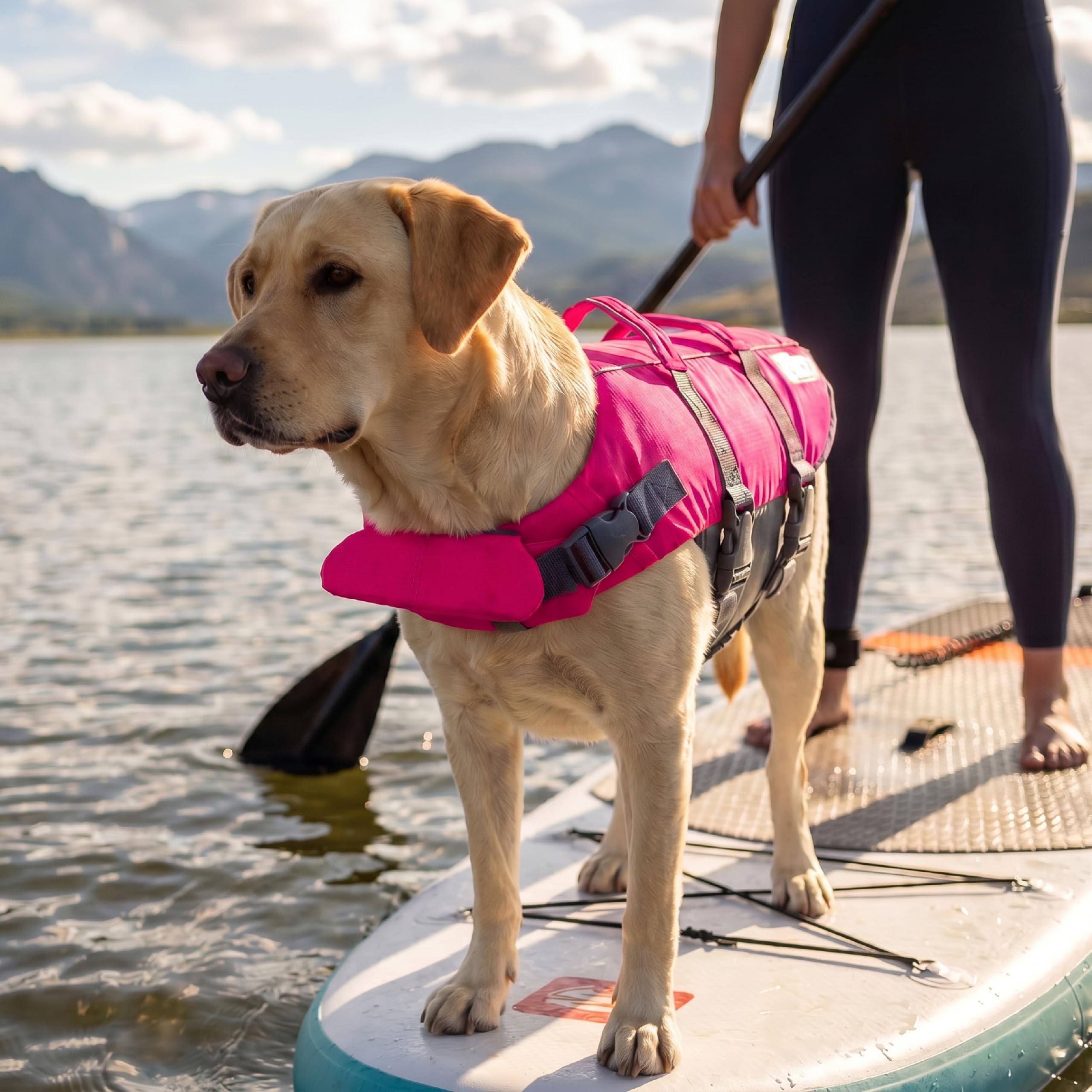 Outward Hound chaleco en uso en la playa mostrando comodidad y movilidad