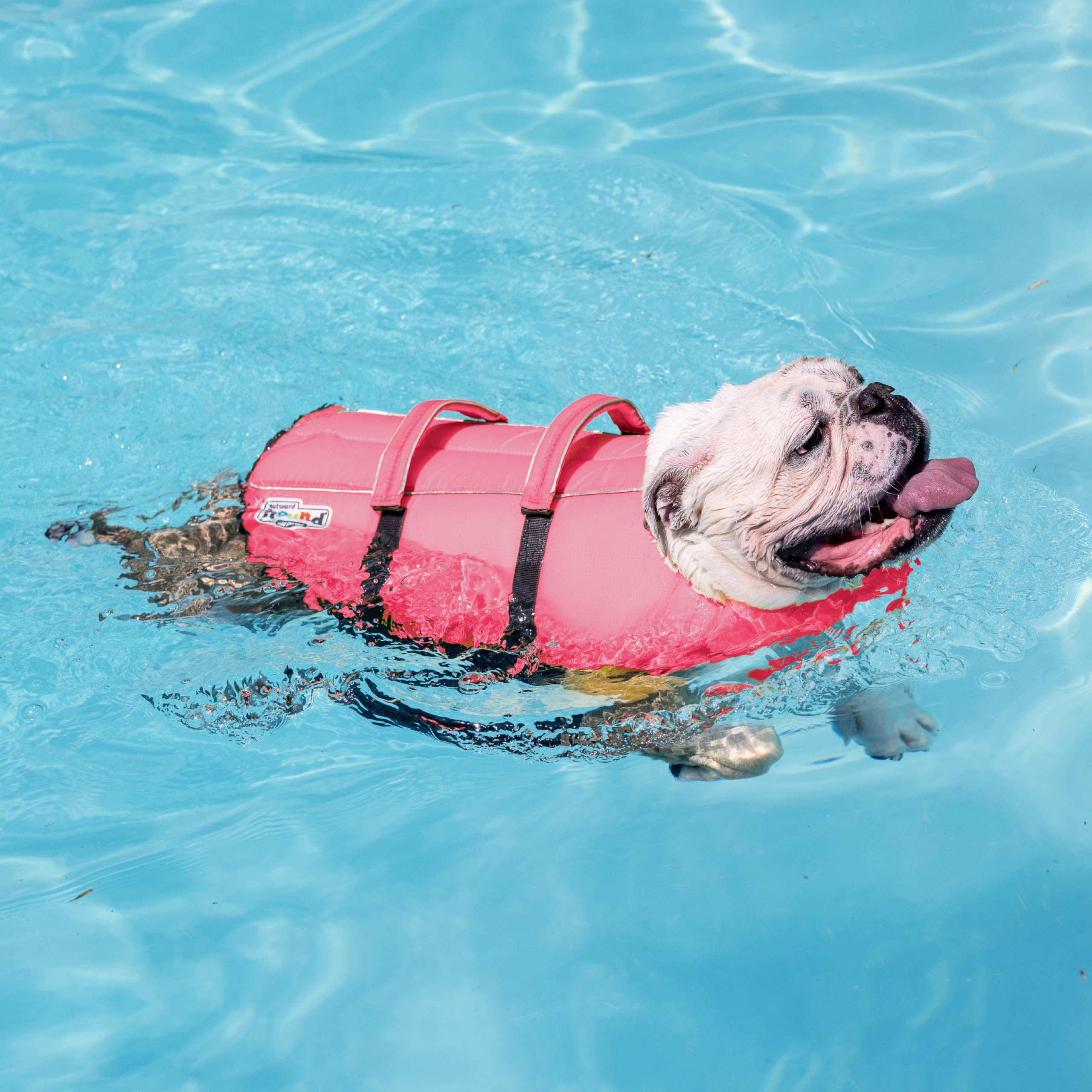 Outward Hound detalle del flotador frontal que sostiene la cabeza del perro