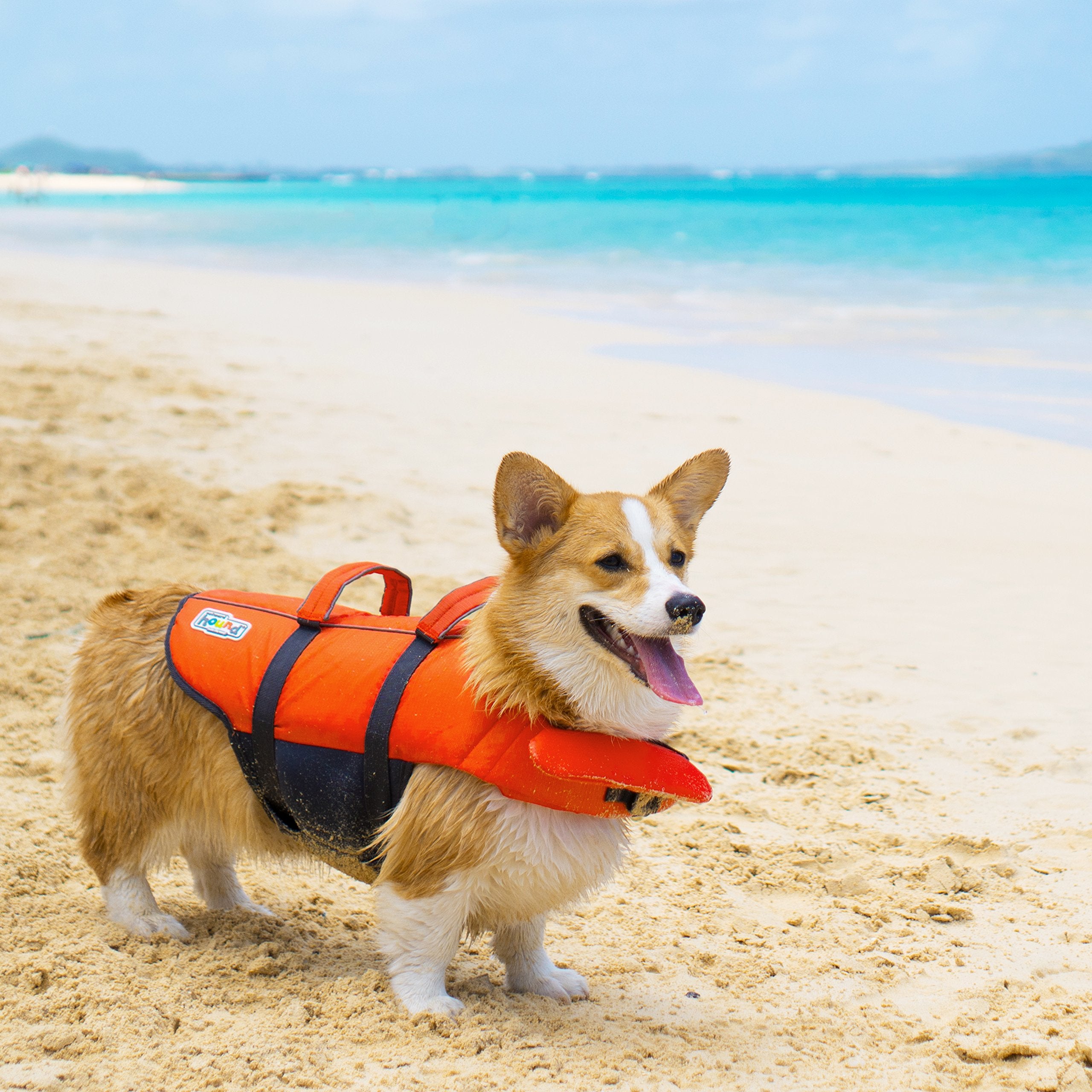 Outward Hound etiqueta y empaquetado con instrucciones y talla X-Small