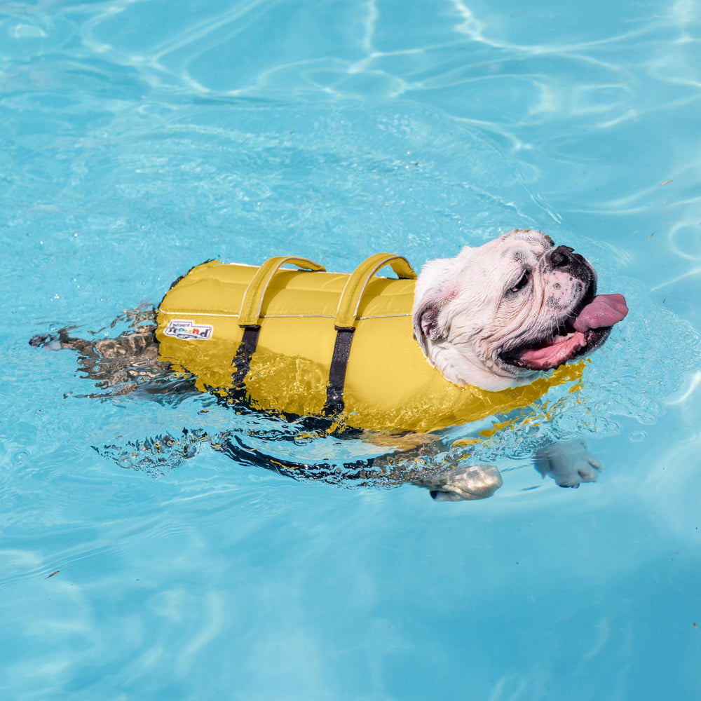 Outward Hound perro usando chaleco en playa mostrando estabilidad