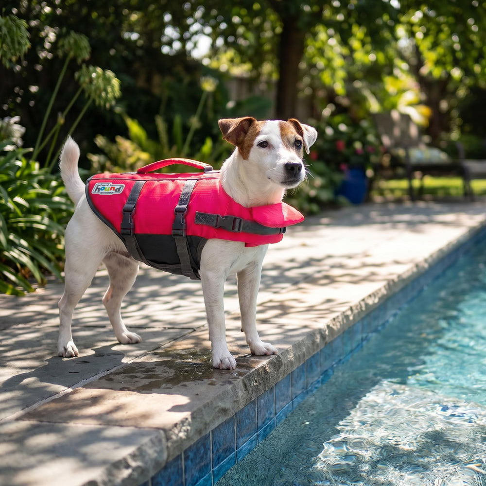 Outward Hound lifestyle beach photo showing visibility and ease of use