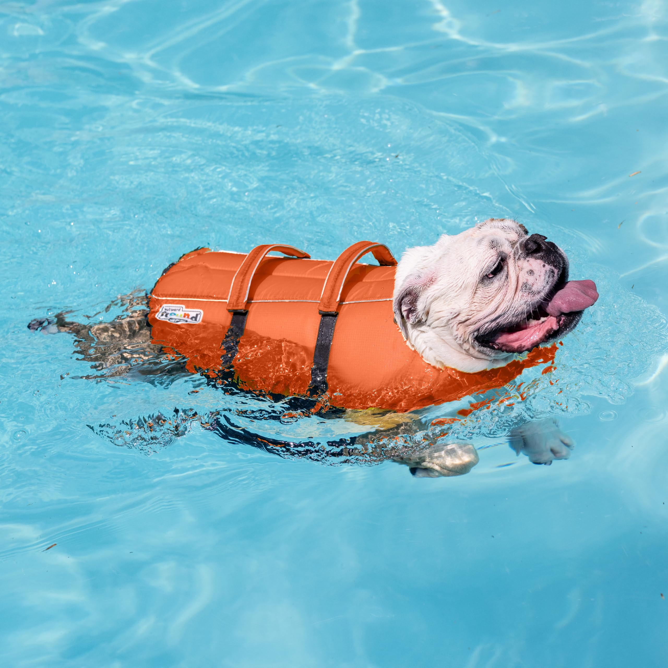 Outward Hound comparación de tamaño X-Small con una regla para escala