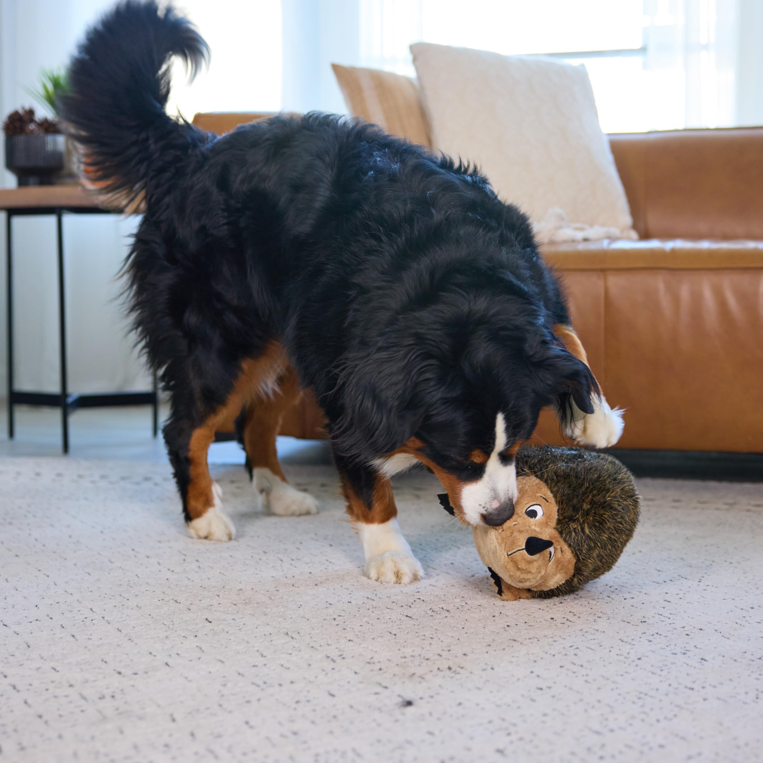 Outward Hound comparación de tamaño XL mostrando adecuación para perros medianos-grandes