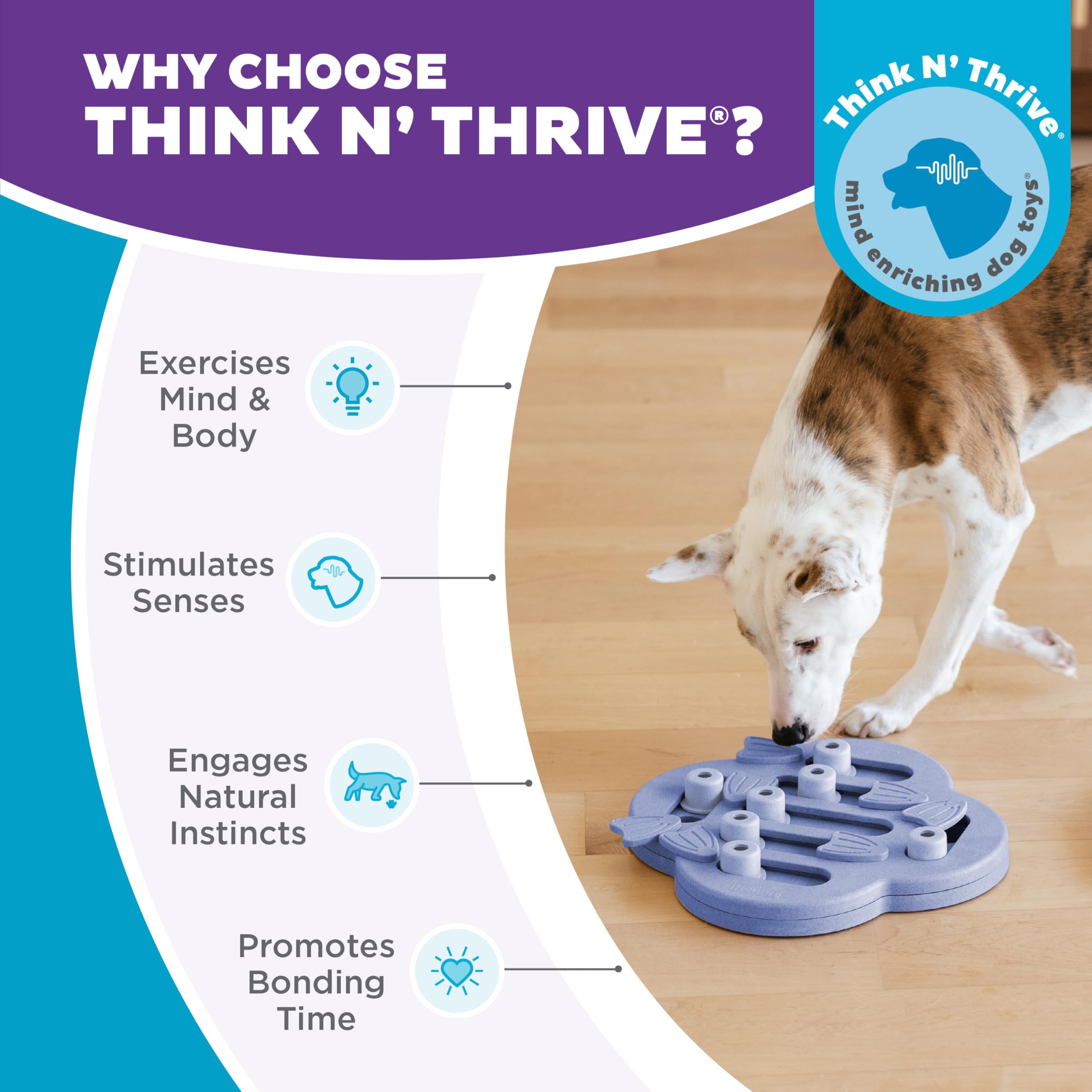 Outward Hound etiqueta y materiales seguros que garantizan uso alimentario sin BPA