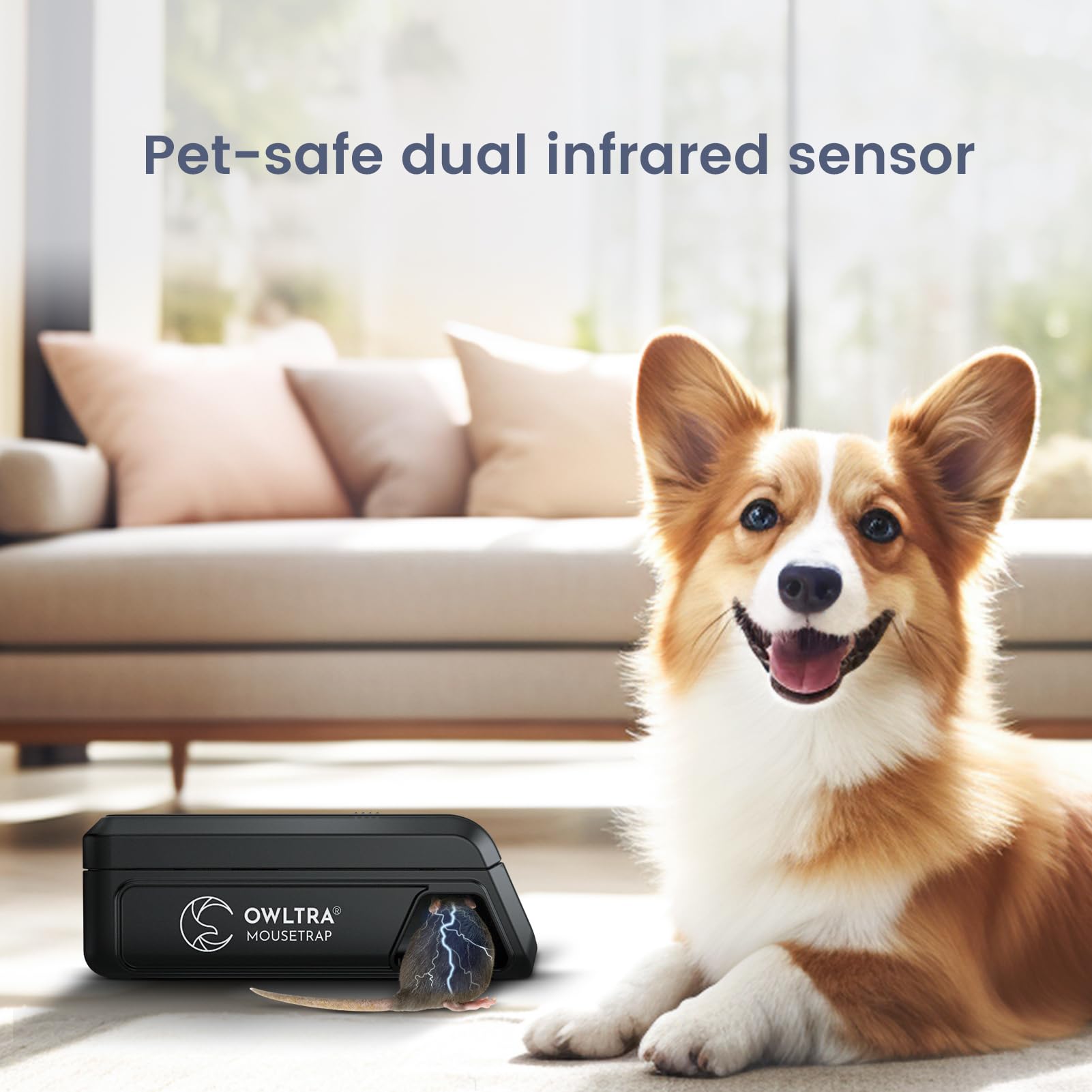 OWLTRA OW-2 infrared sensor closeup illustrating pet-safe dual-sensor activation