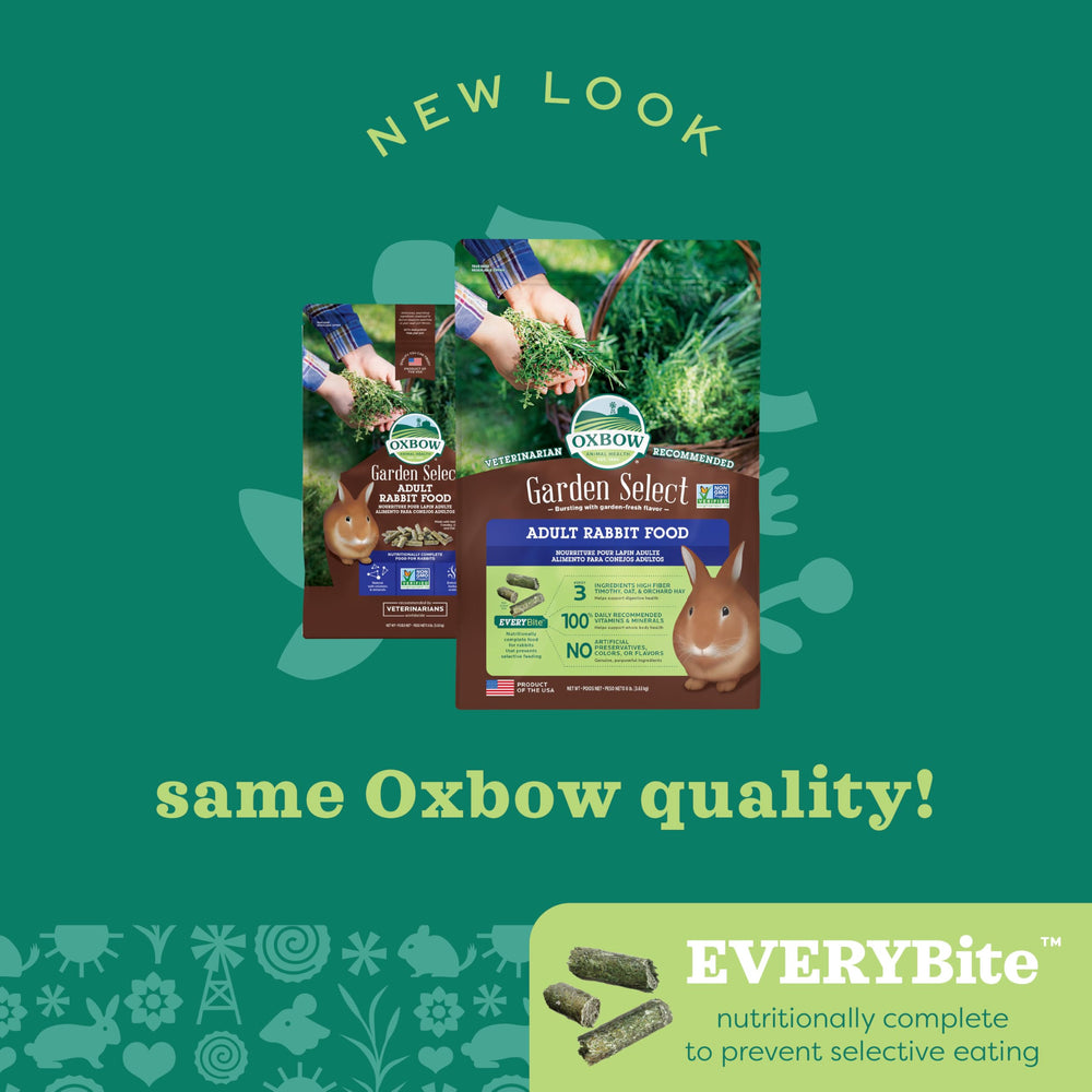 Oxbow escena doméstica con conejo feliz beneficiándose del alimento