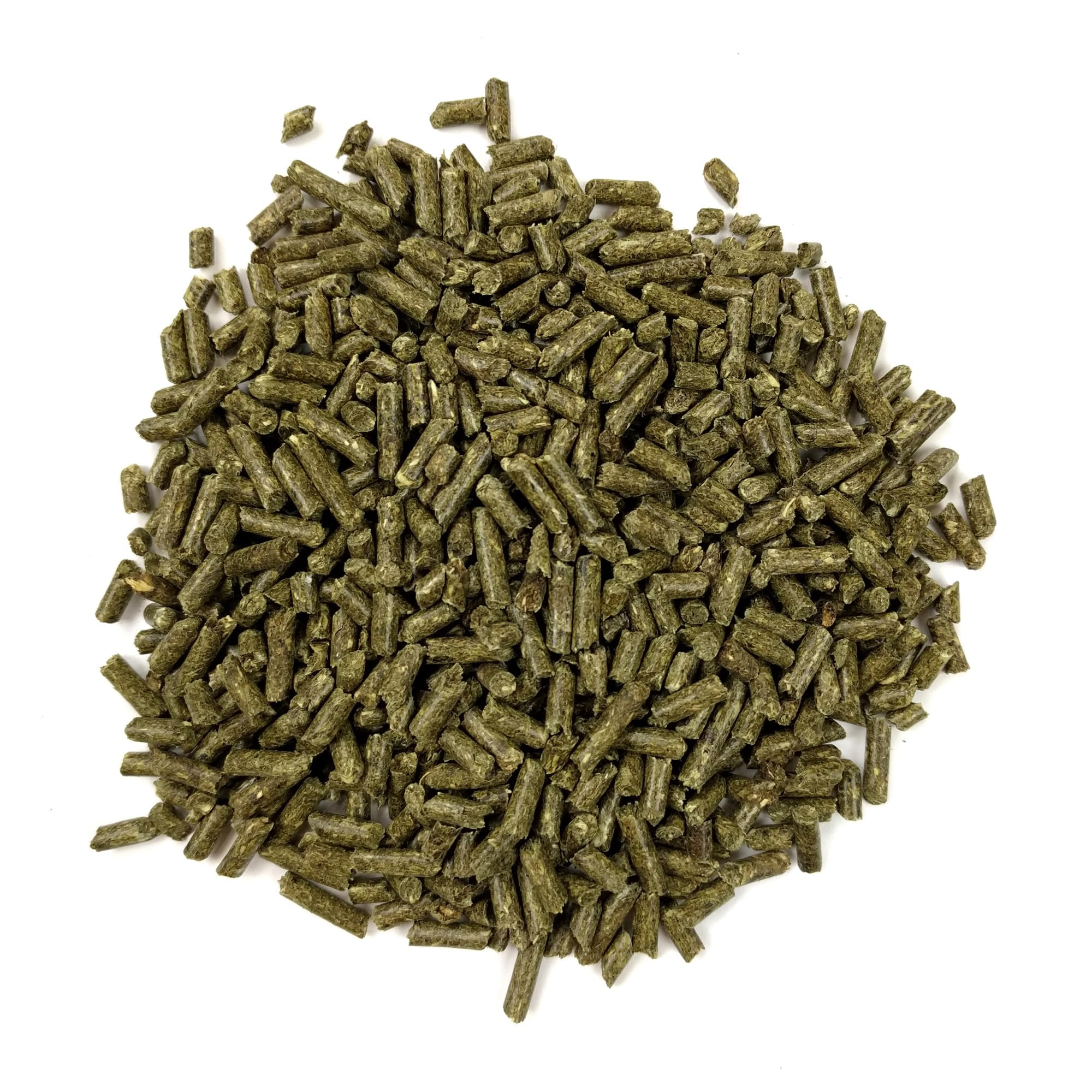Oxbow cobaya comiendo pellets, fomenta alimentación completa y estable