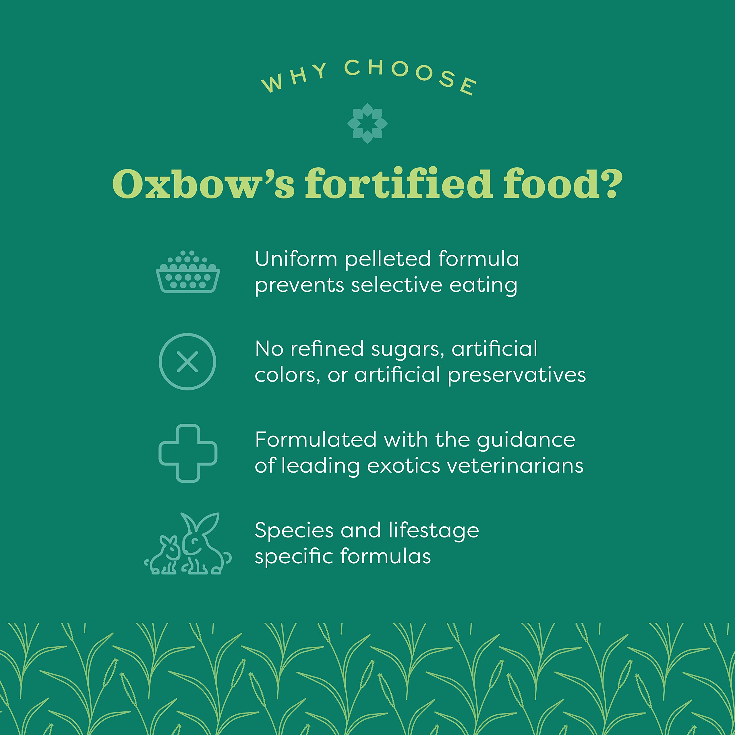 Oxbow comedero en uso con chinchilla comiendo, fomenta alimentación equilibrada