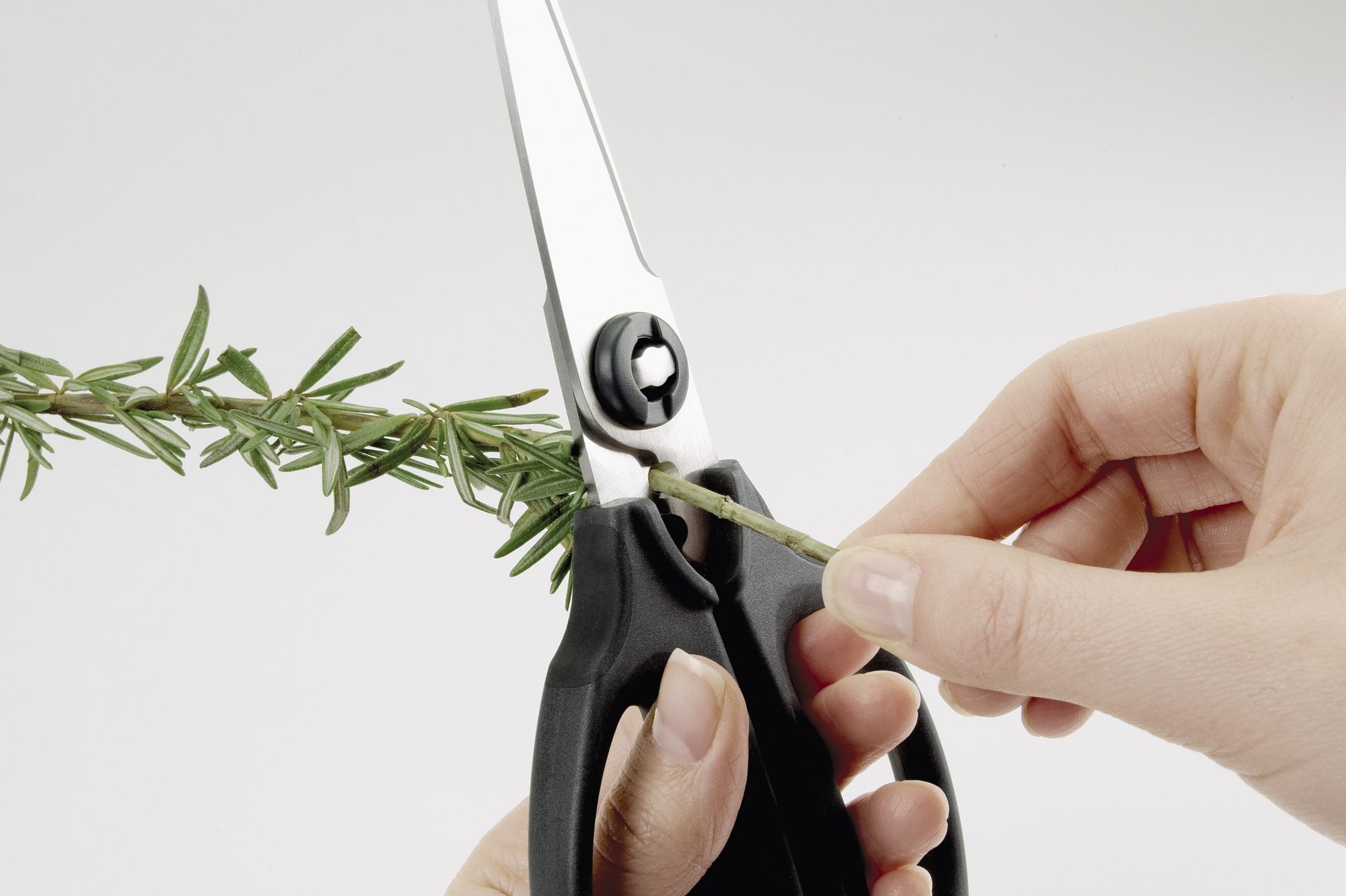 OXO Good Grips close-up of micro-serrated stainless blade edge for secure, precise cuts