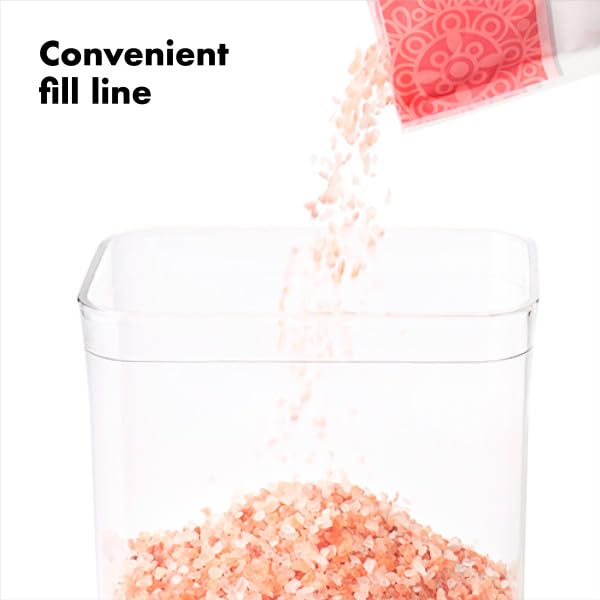 OXO Good Grips POP con etiqueta y disco de fecha para control práctico de alimentos