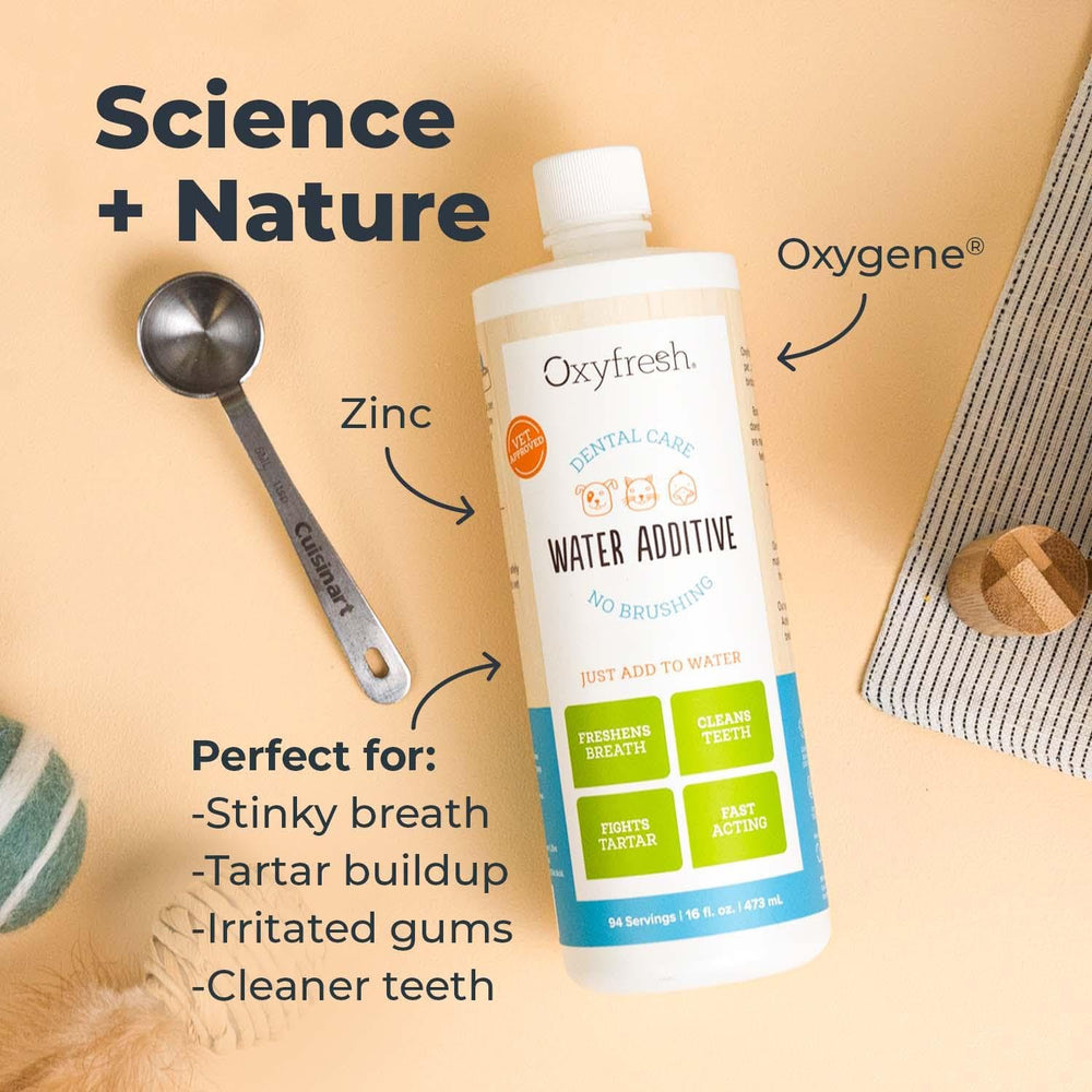 Oxyfresh perro bebiendo agua tratada con aliento más fresco