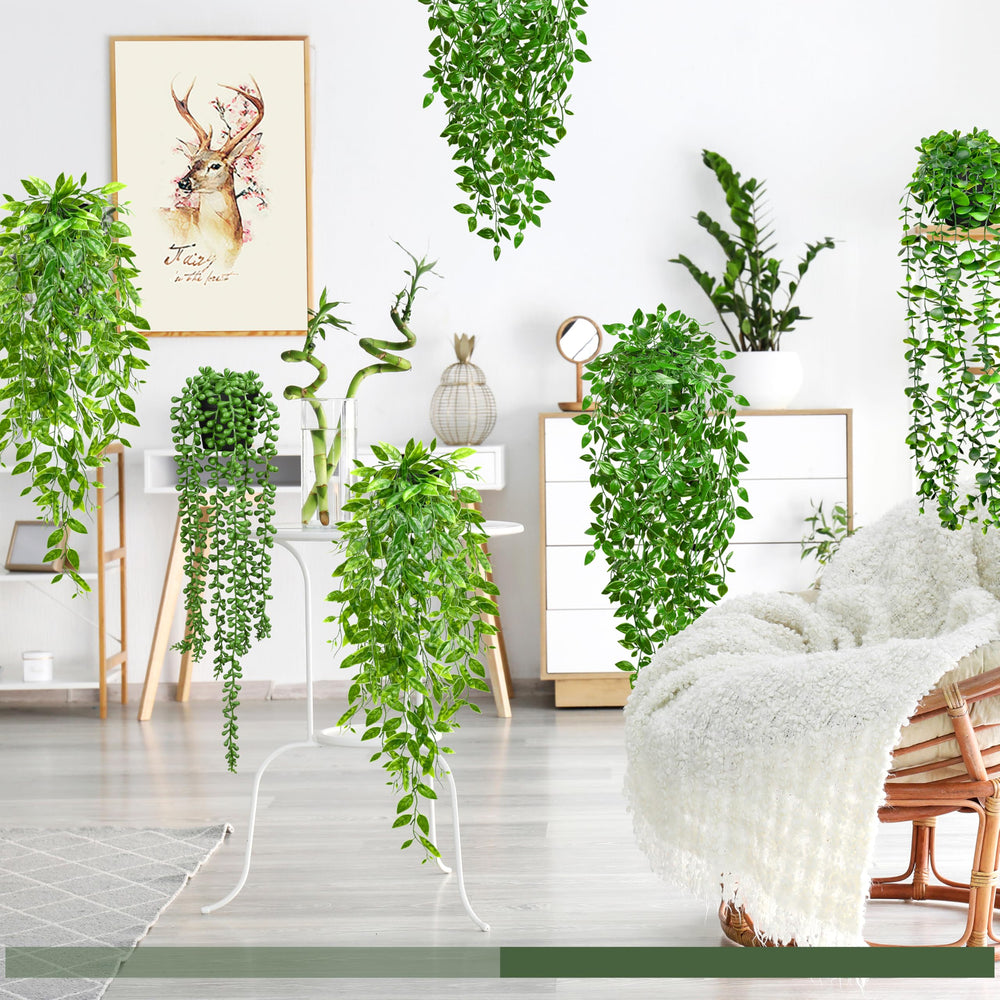 Palonu conjunto decorando salón aportando ambiente verde sin mantenimiento