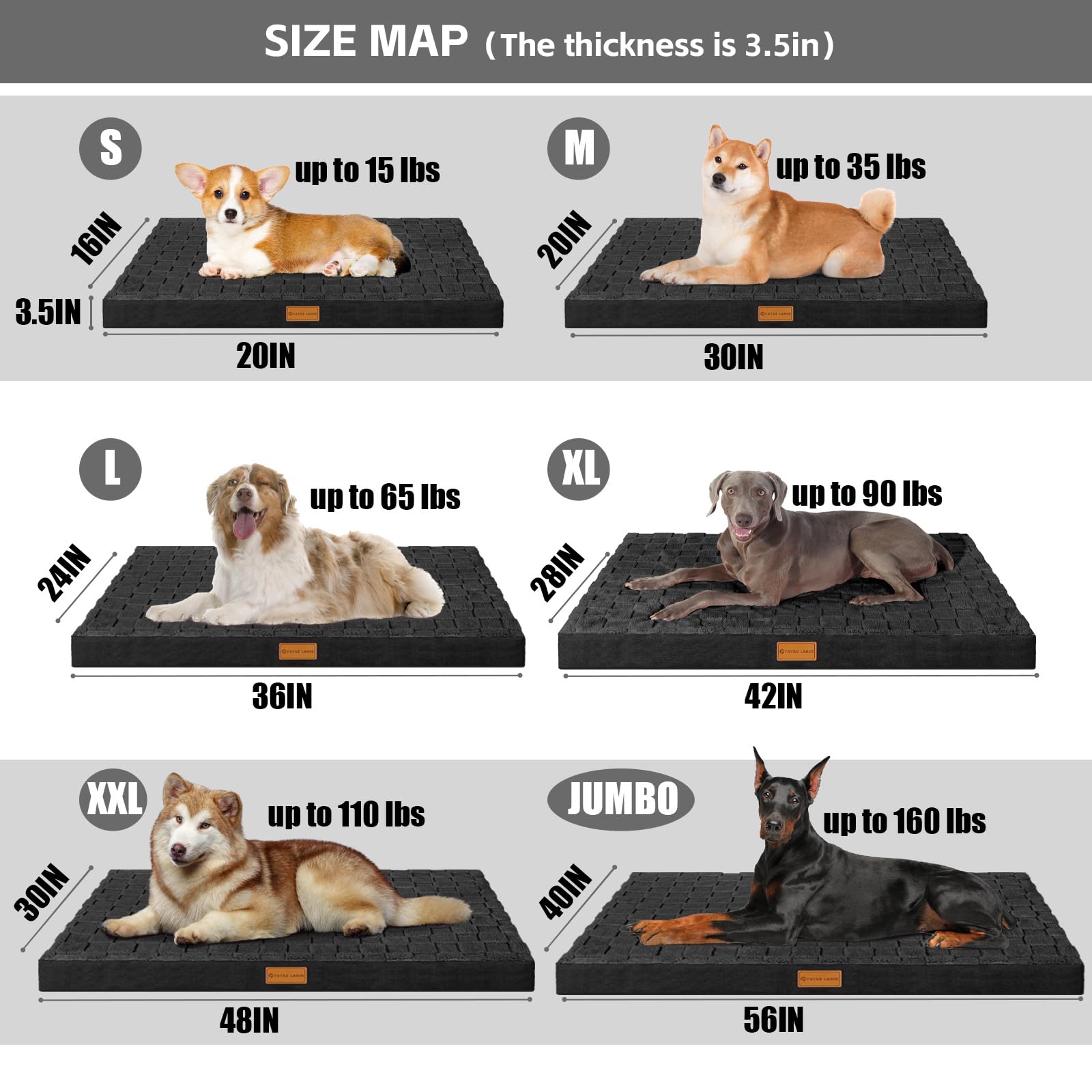 Patas Lague comparación de tamaño con perro mediano, apta hasta 65 lb