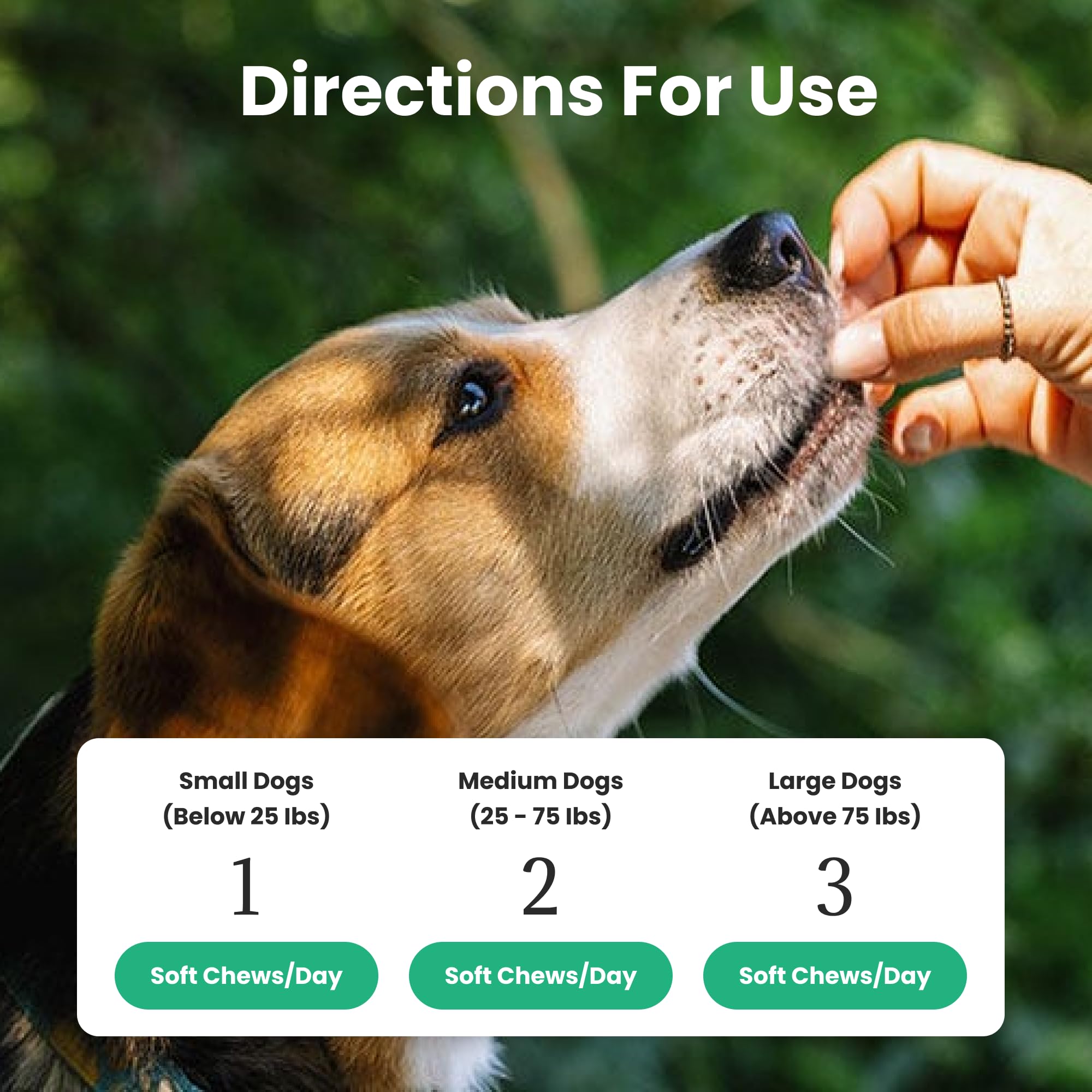 Paw Balance chews en mano para comparar tamaño y dosificación