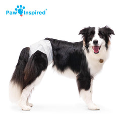 Paw Inspired pañal al lado de una regla para comparar talla