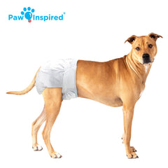 Paw Inspired diaper on a female dog in use showing leak protection