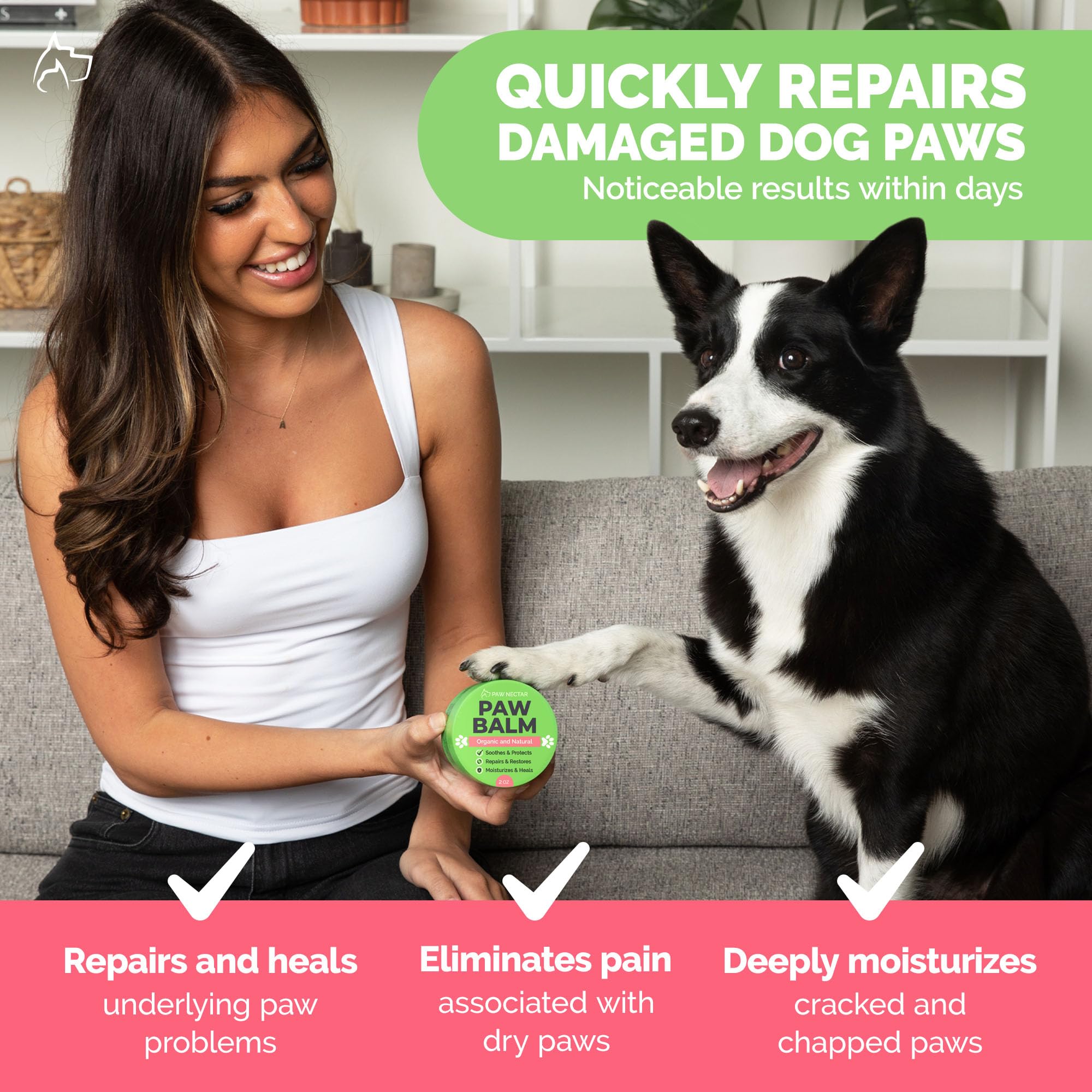 Paw Nectar escena vital con perro paseando y almohadillas protegidas