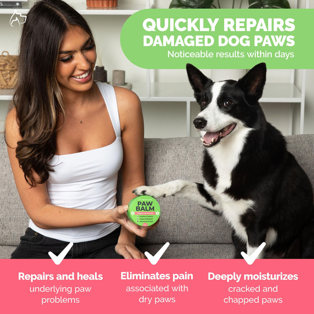 Paw Nectar escena vital con perro paseando y almohadillas protegidas