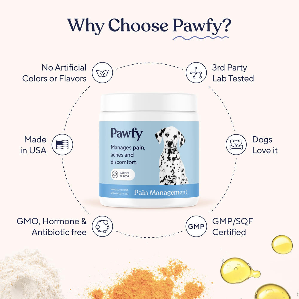Pawfy mascota en paseo activo, soporte articular para movimiento