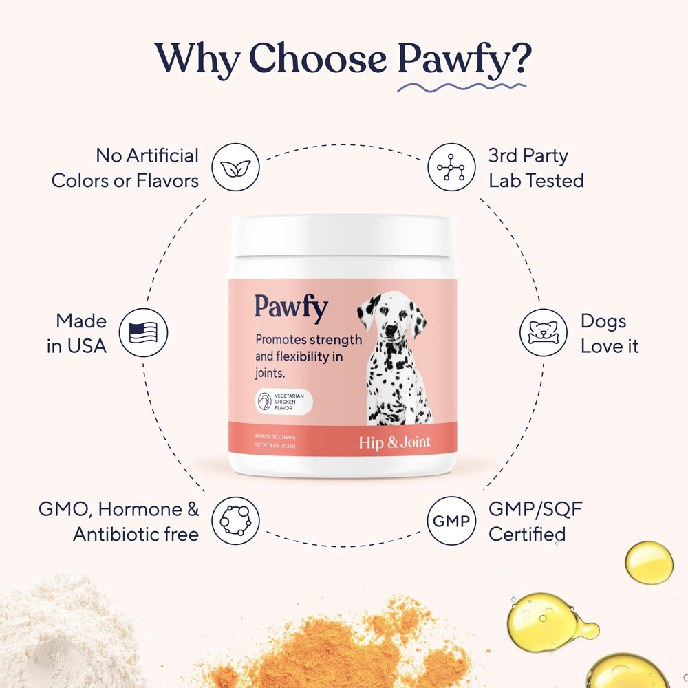 Pawfy estilo de vida paseo de perro activo tras uso regular