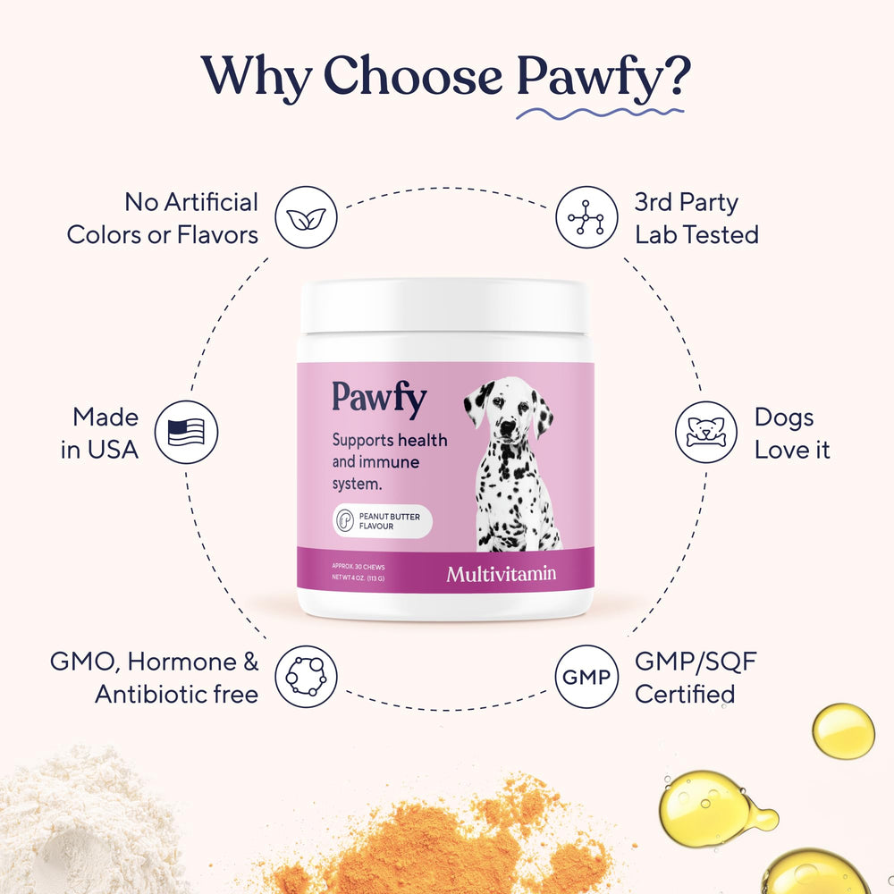 Perro con pelaje brillante tras usar Pawfy en ambiente doméstico saludable