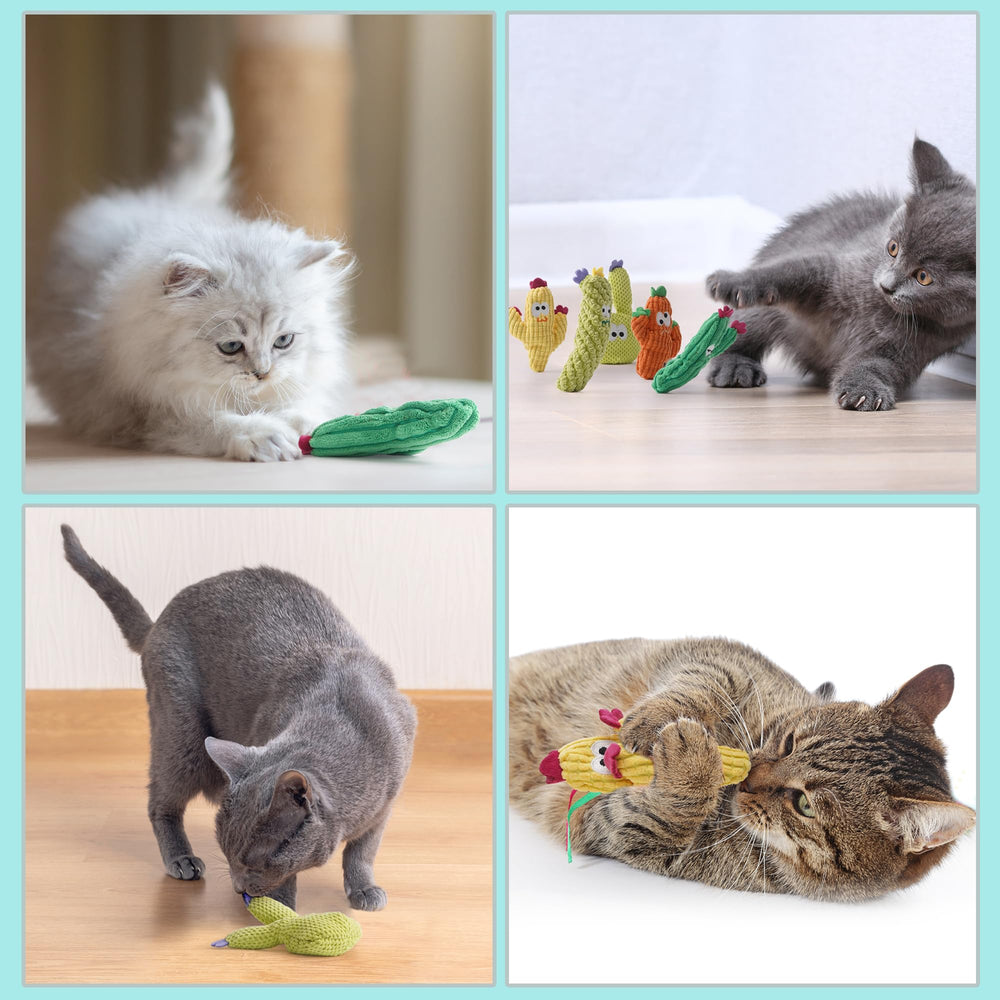 Pawsible escenario de sala con juguetes, promueve juego en interiores y compañía