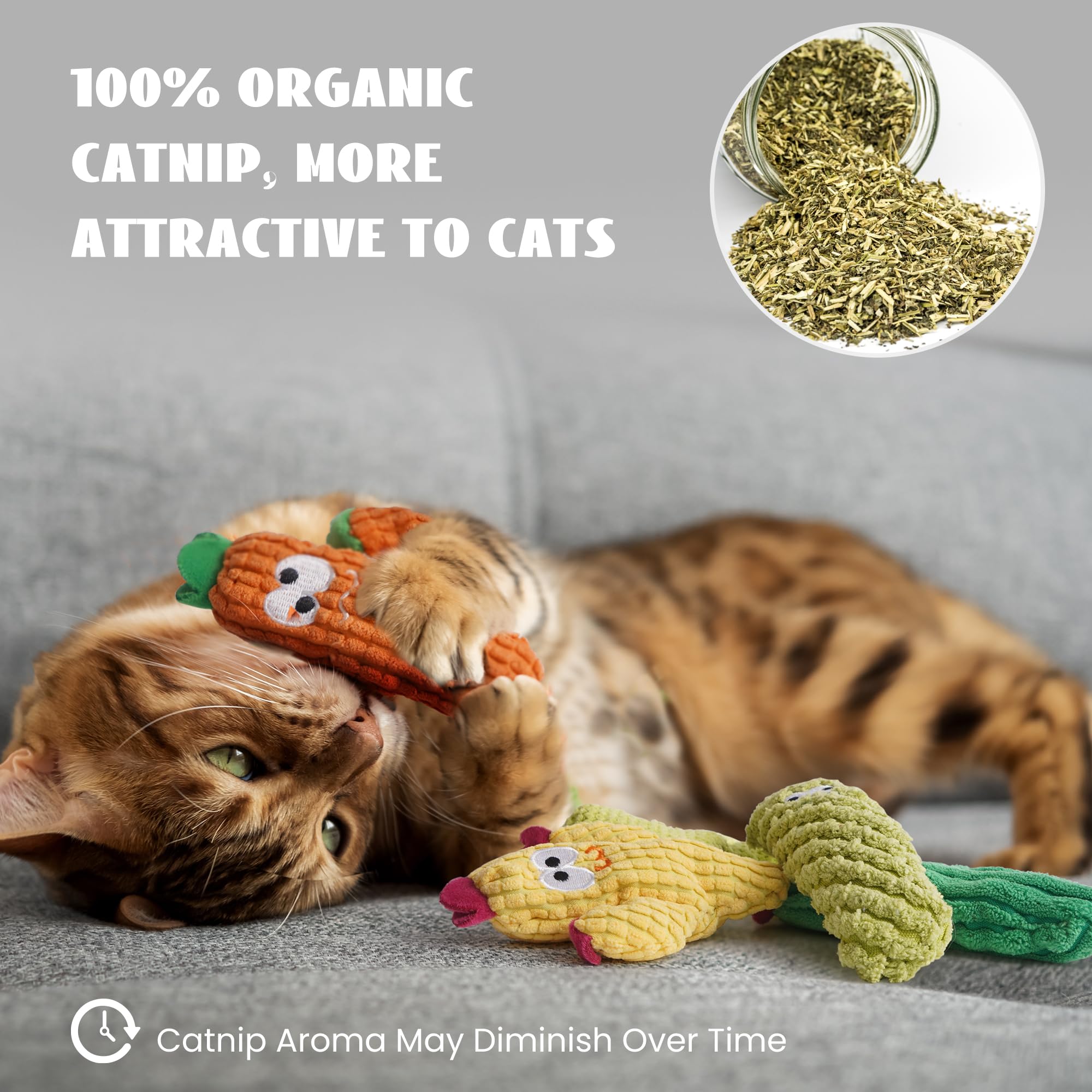 Pawsible etiqueta con información del producto, muestra ingredientes y advertencias