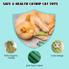 Pawsible gato jugando con cactus, estimula ejercicio y entretenimiento activo