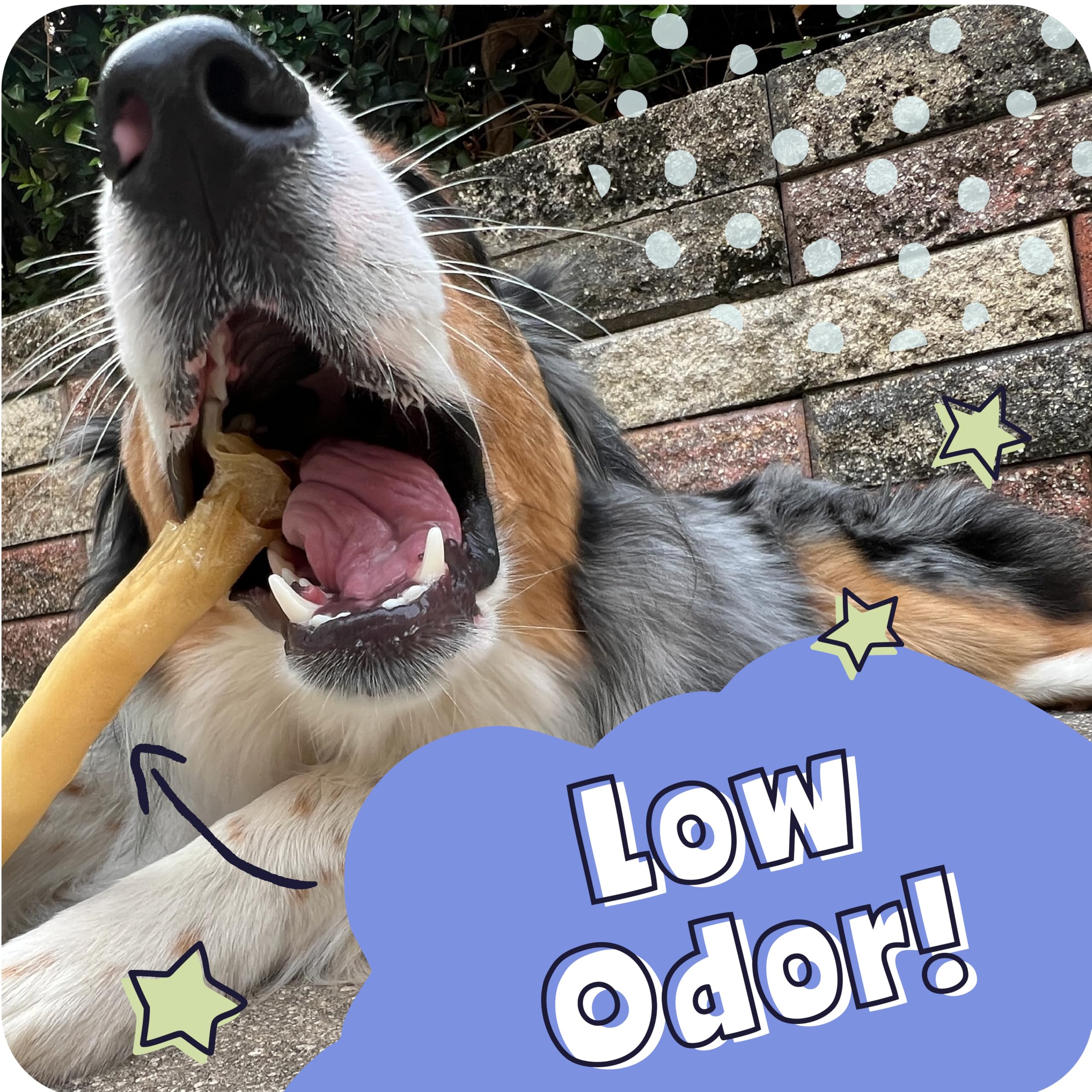 Pawstruck cross-section of stick revealing dense, chew-resistant core