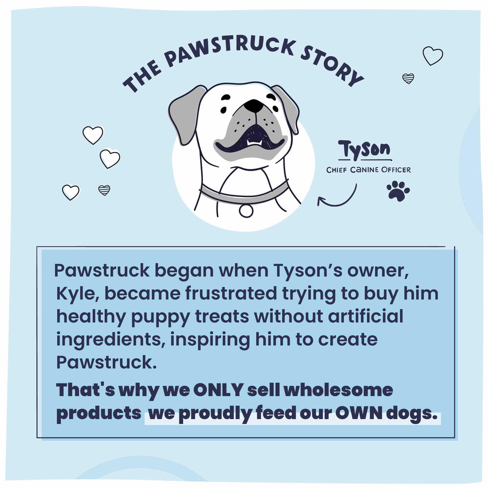 Pawstruck bolsa en entorno hogar que sugiere almacenamiento práctico