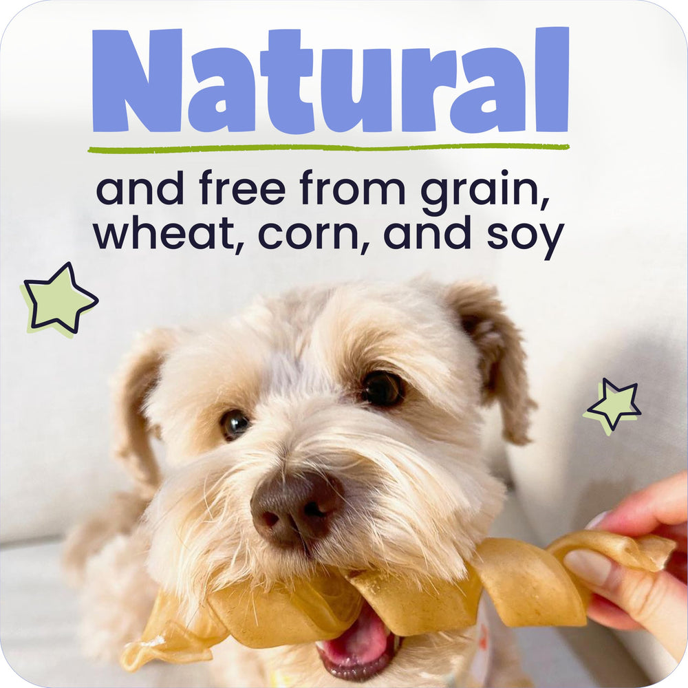 Pawstruck single 12-inch beef collagen stick highlighting durable chew