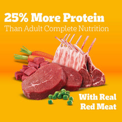 Pedigree bag nutrition label visible, highlights 36 nutrients