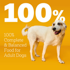 Pedigree bol servido con pollo y vegetales que invita al consumo