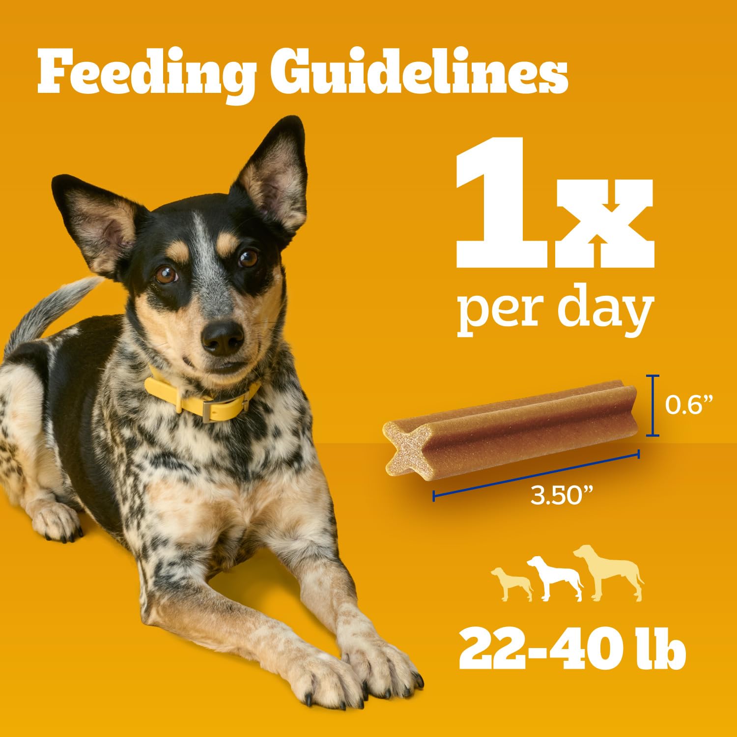 Paquete de Pedigree Dentastix sobre mesa como parte de rutina diaria