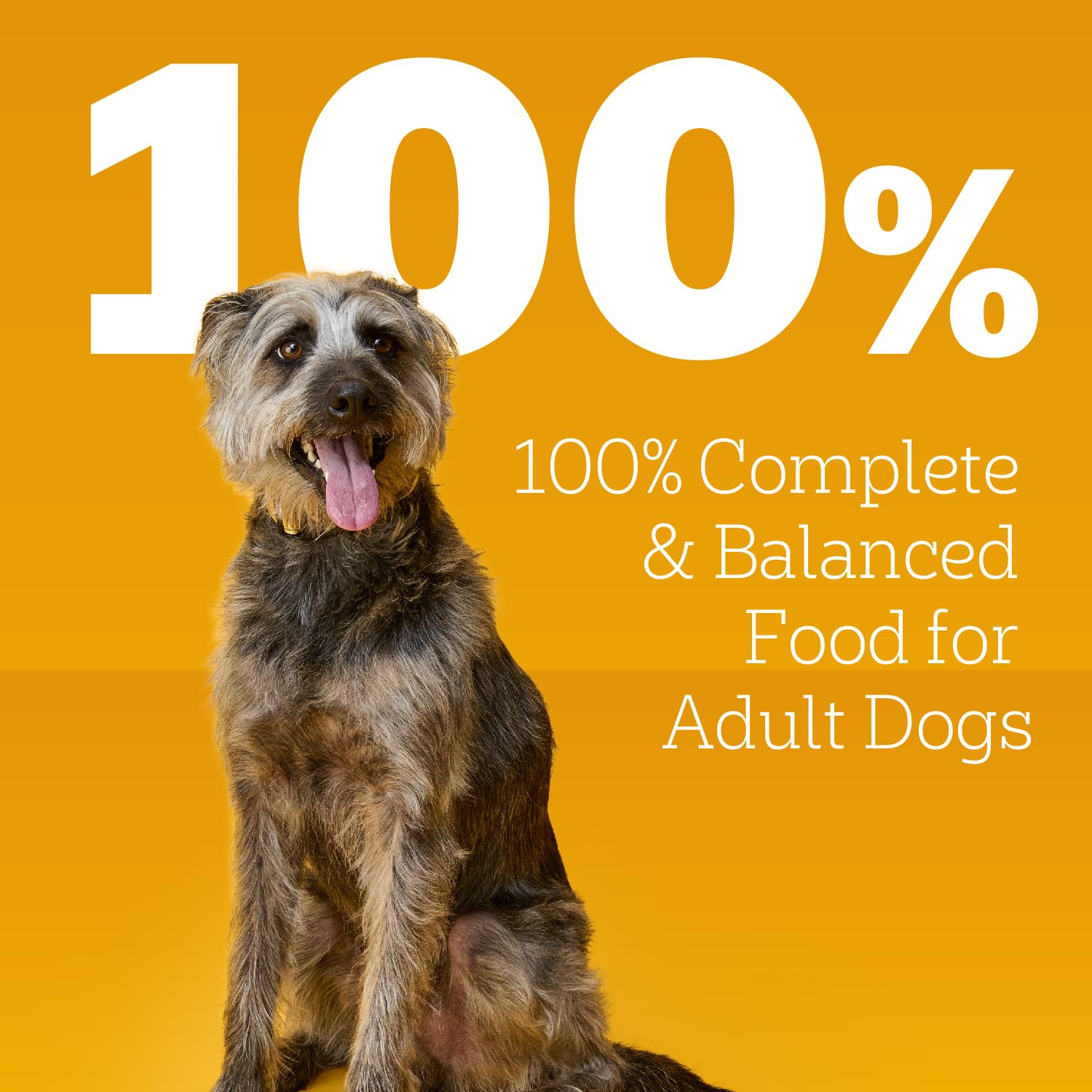 Pedigree comparación de tamaño de lata para referencia visual