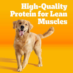 Pedigree close-up of kibble texture showing high-protein pieces