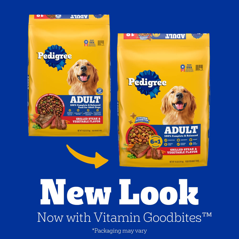Perro activo y saludable tras alimentarse con Pedigree Complete Nutrition