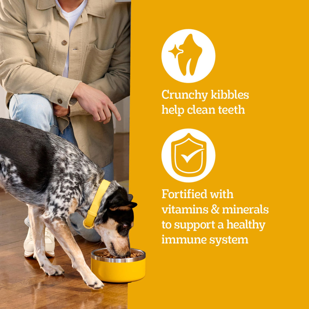 Pedigree etiqueta nutricional ampliada, detalle de vitaminas y minerales
