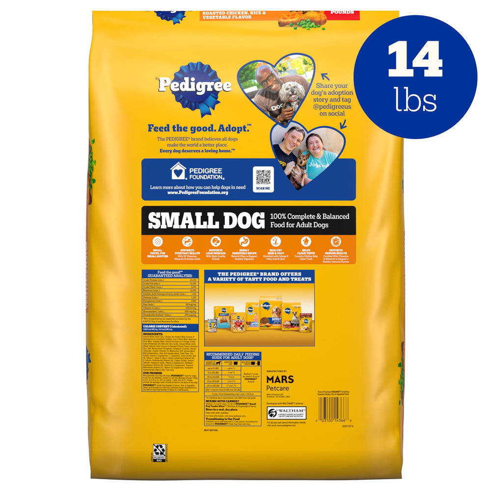 Pedigree primer plano de pelaje brillante en perro pequeño, bienestar visible