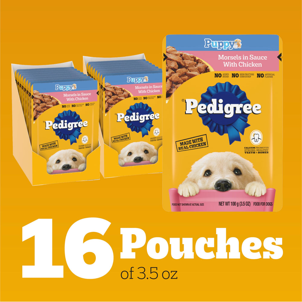 Pedigree sobre abierto con comida destacando porciones sin residuos