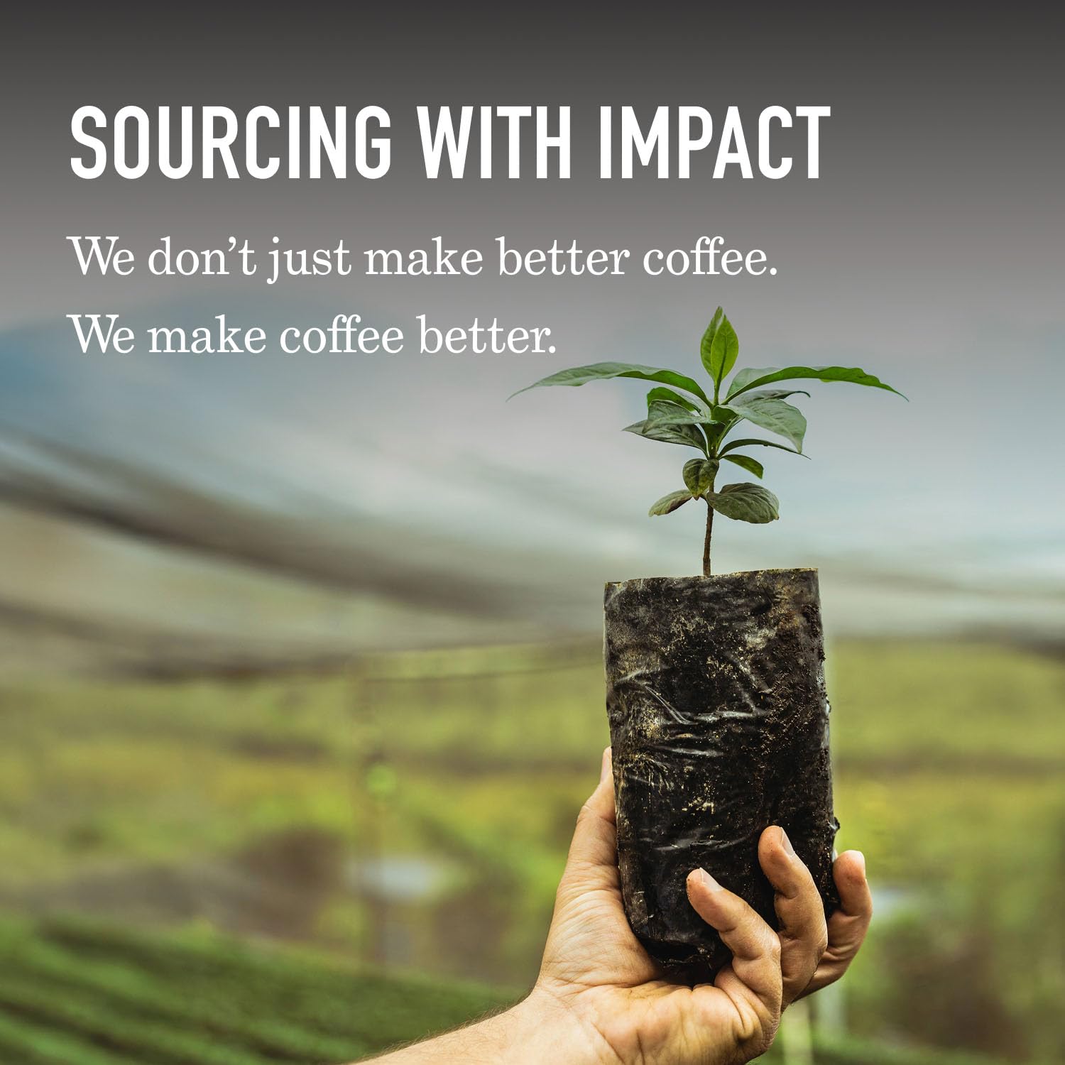 Peet's Coffee cápsula junto a regla para comparar tamaño y porción