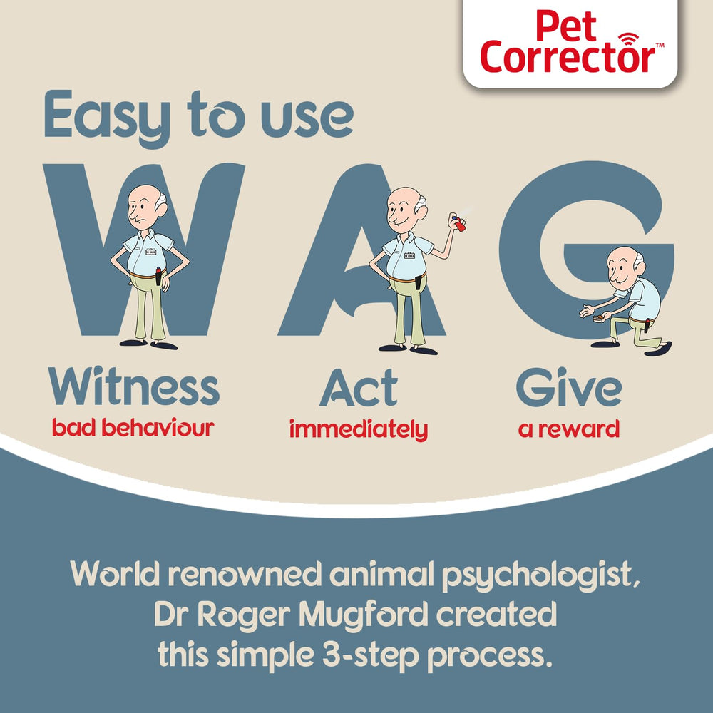 Pet Corrector textura del envase y tamaño para fácil transporte