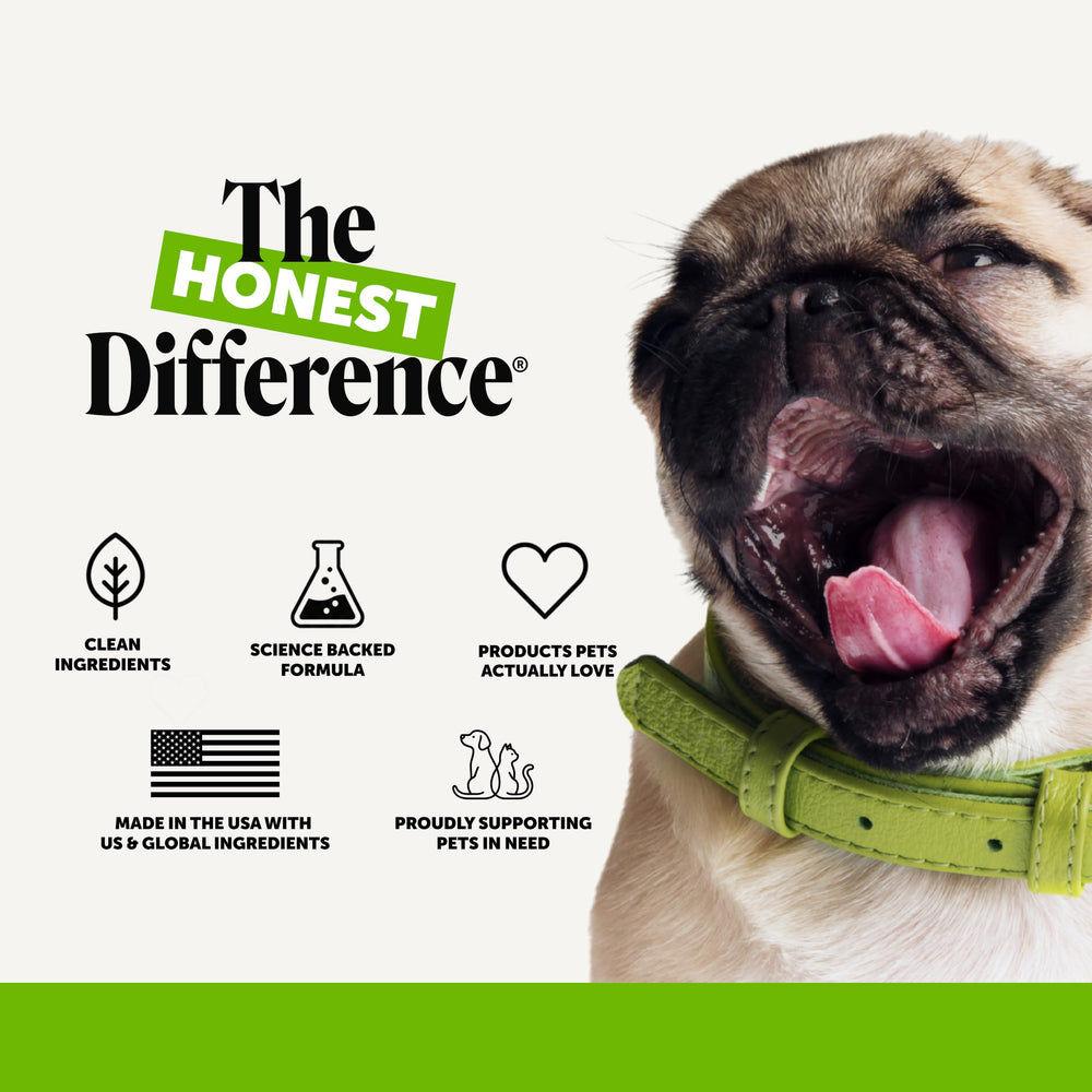 Pet Honesty bote con plástico reciclado compromiso sostenible visible