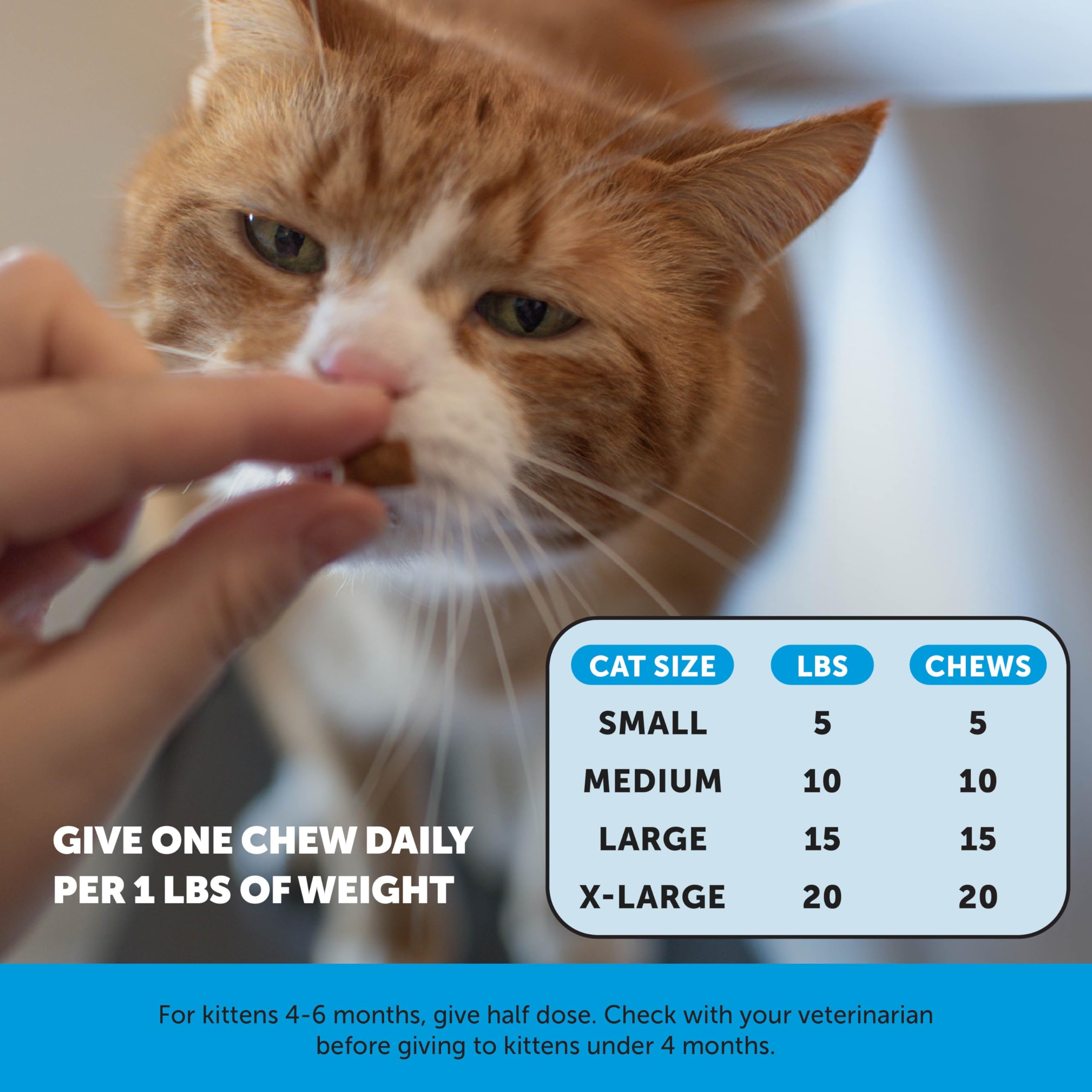 Pet Honesty comparación de tamaño con una mano para escala real