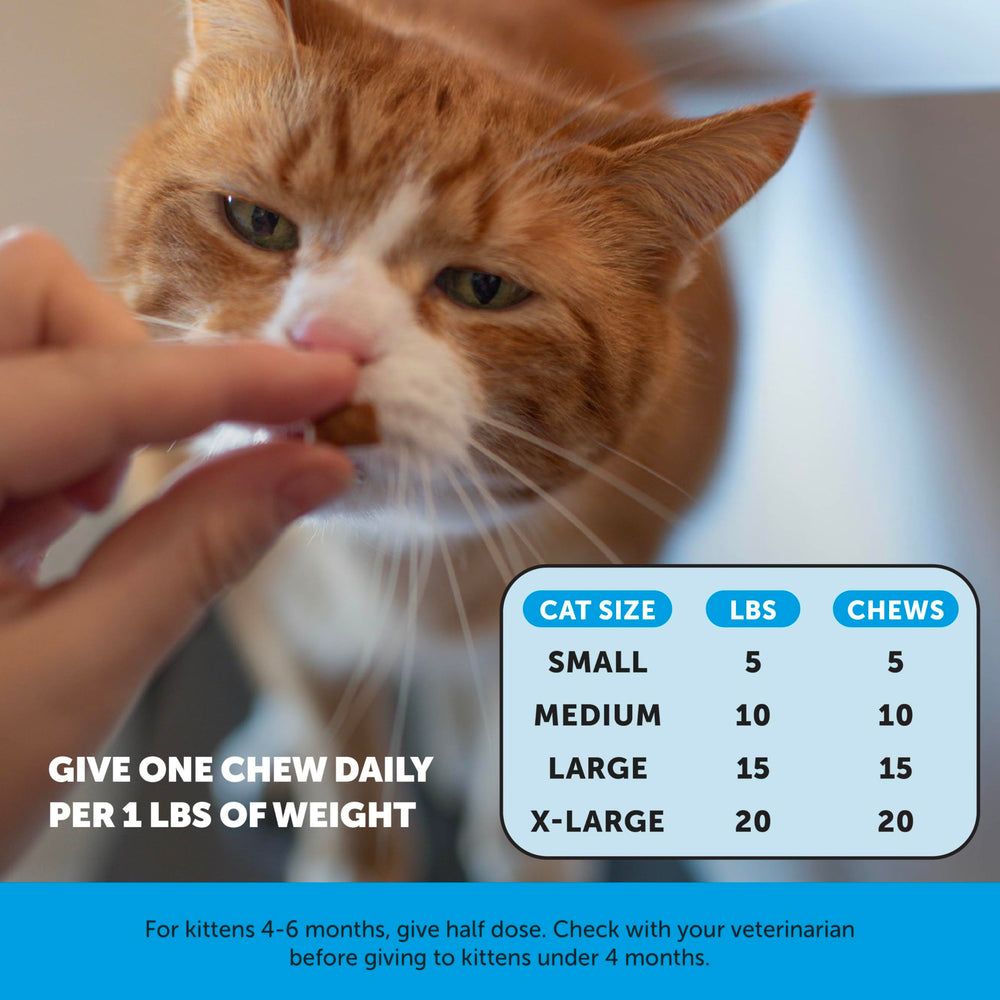 Pet Honesty comparación de tamaño con una mano para escala real