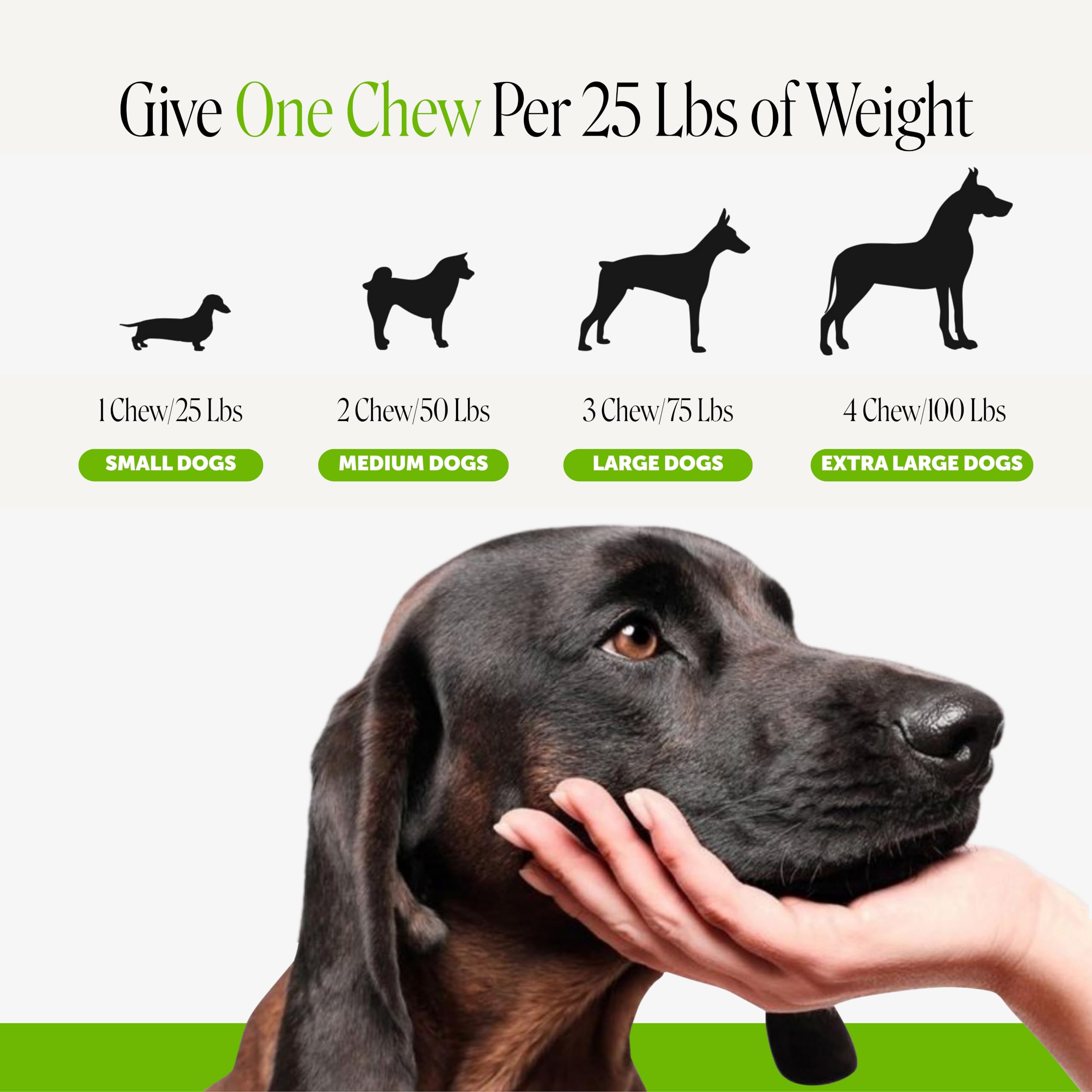 Pet Honesty comparación de tamaño con mano, dosificación y portabilidad