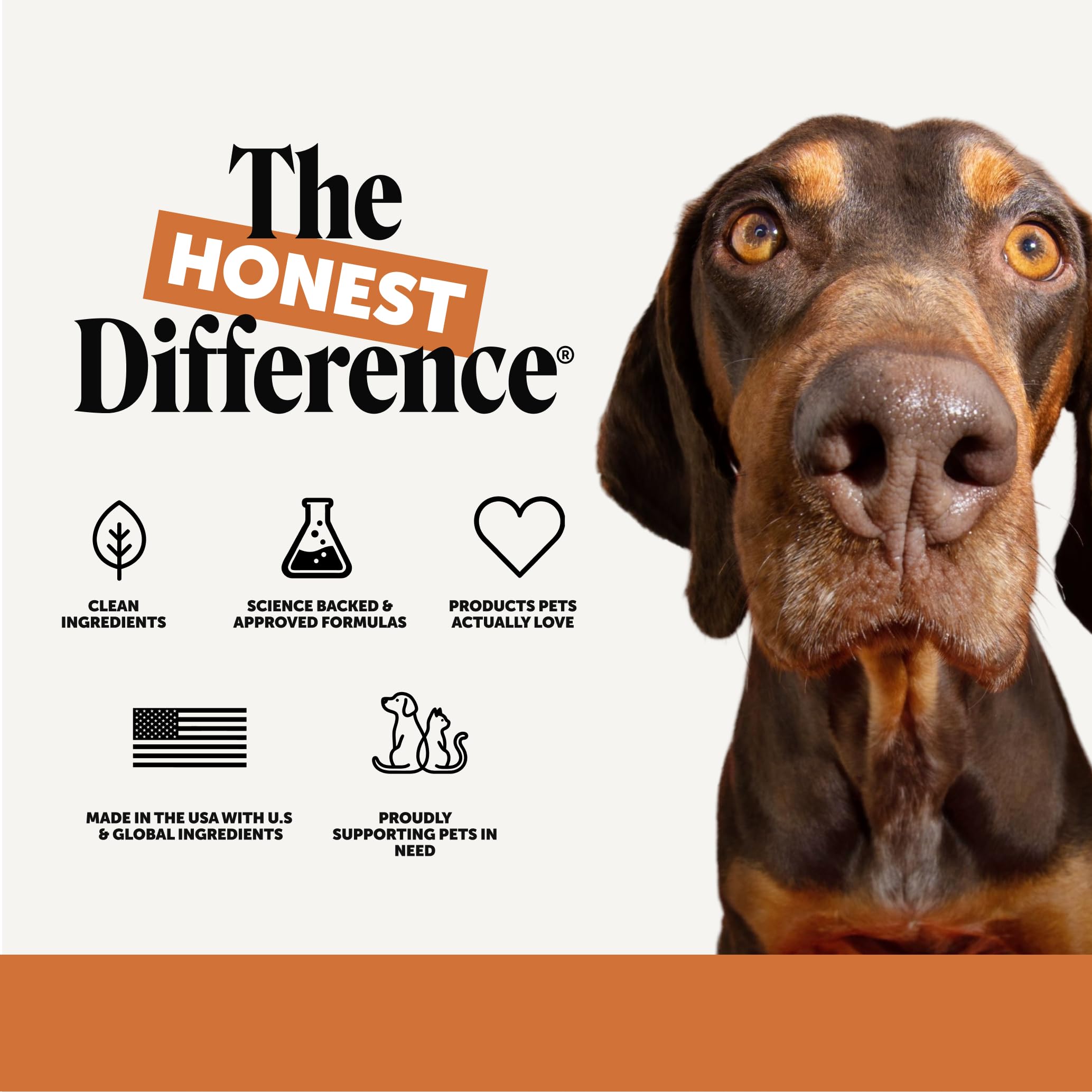 Comparativa de tamaño de la golosina para razas pequeñas y grandes Pet Honesty