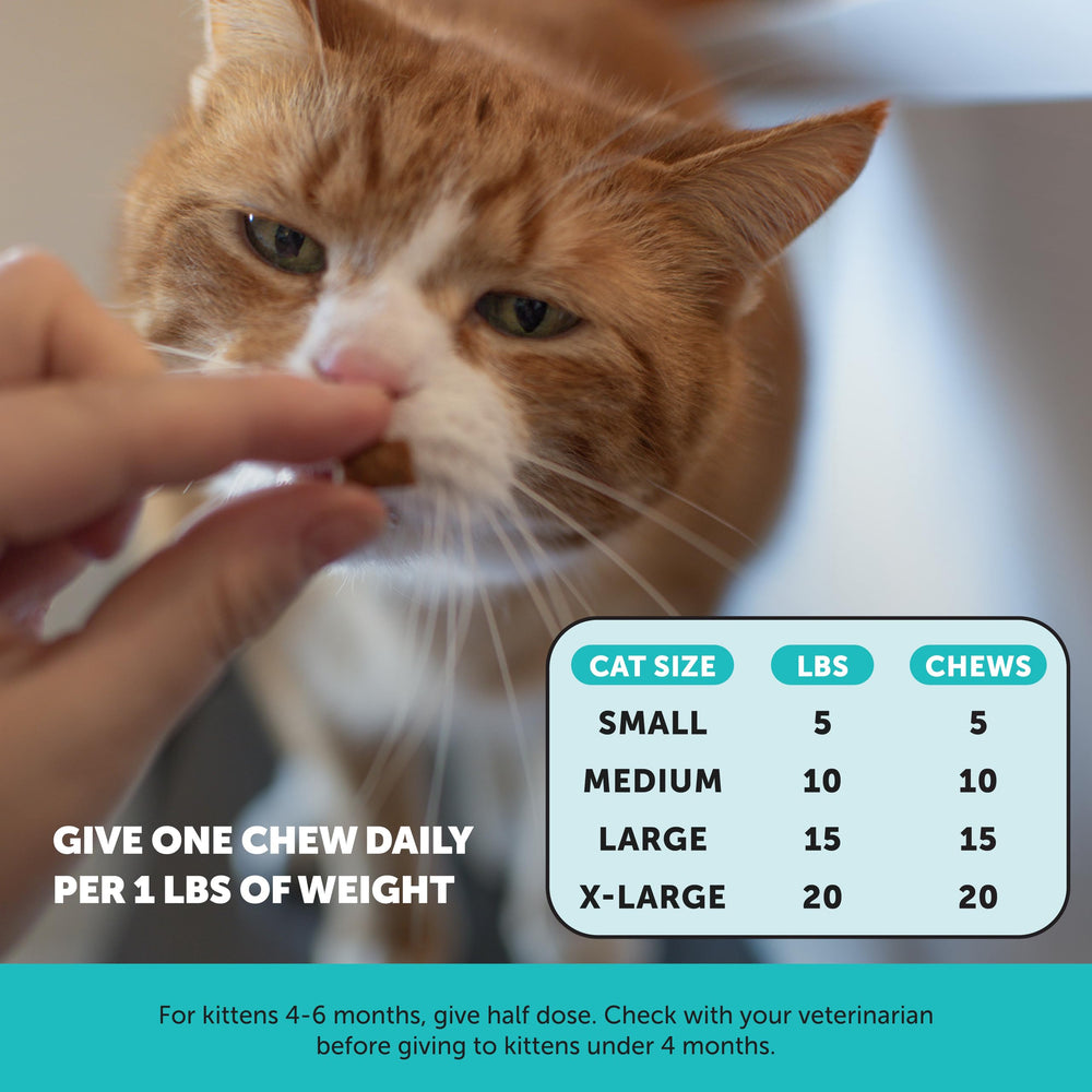 Pet Honesty envase abierto con chuches listas para ofrecer
