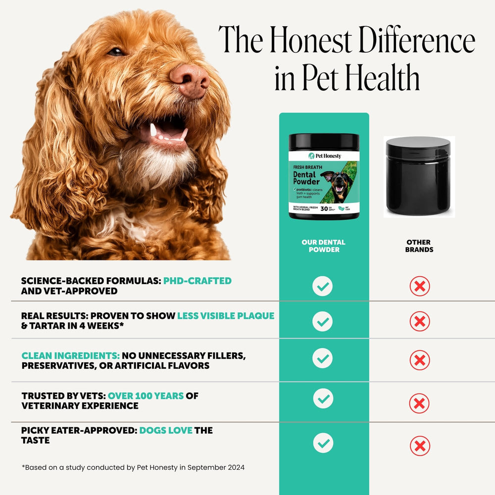 Pet Honesty mascota feliz y aliento fresco tras uso diario del polvo
